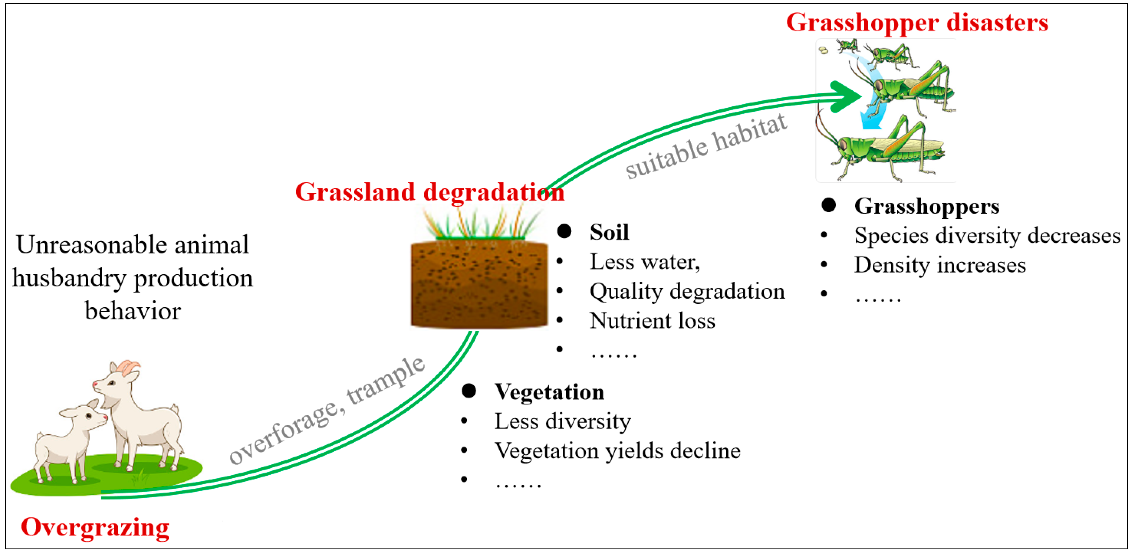 Negative Effects Of Overgrazing Greentumble Assessment Of The Effects Negative Effects Of Overgrazing Greentumble Assessment Of The Effects