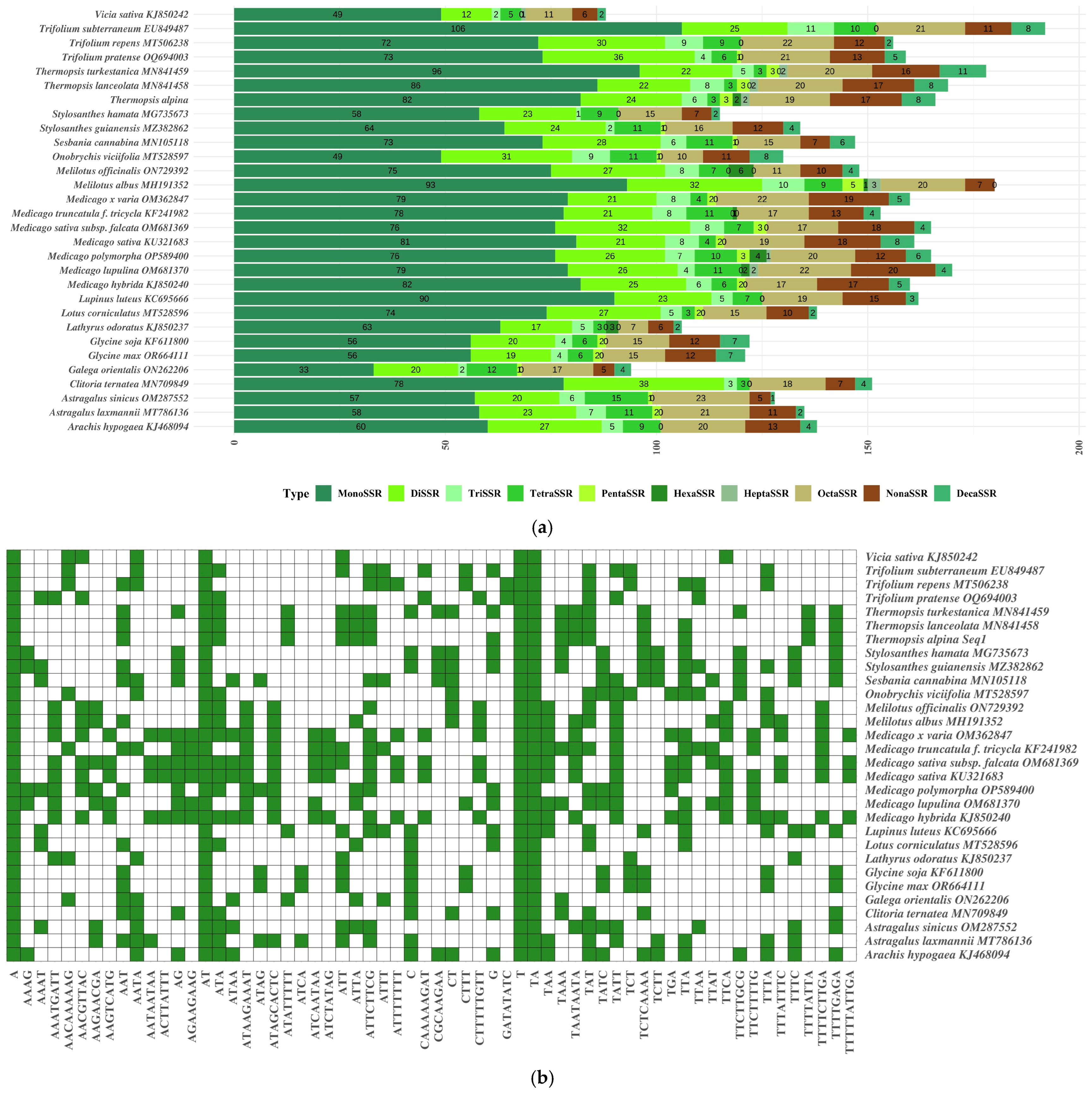 Comprehensive Analysis of Chloroplast Genomes in Leguminous