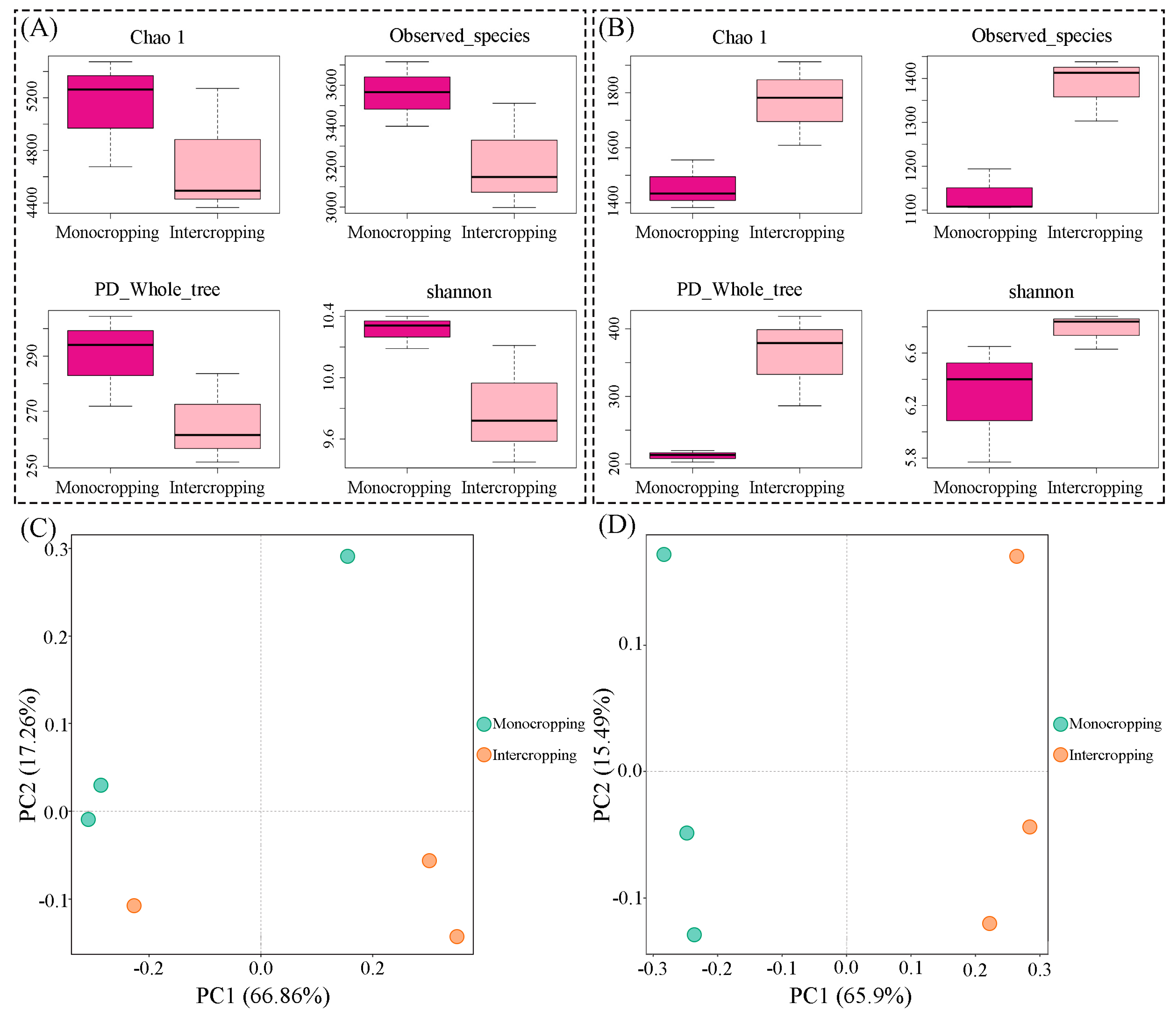 The Effect of Intercropping with Eucommia ulmoides on the