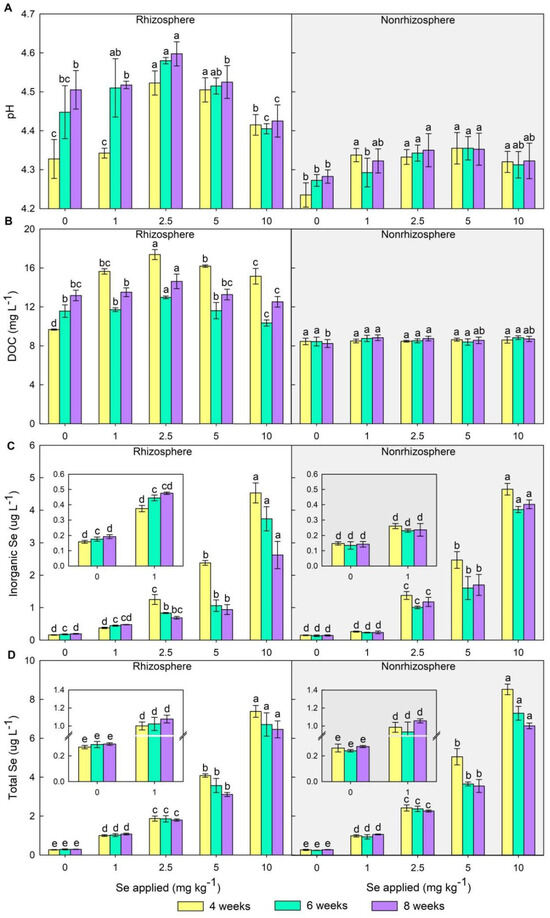 Dynamic Effects of Sodium Selenite on the Rhizospheric