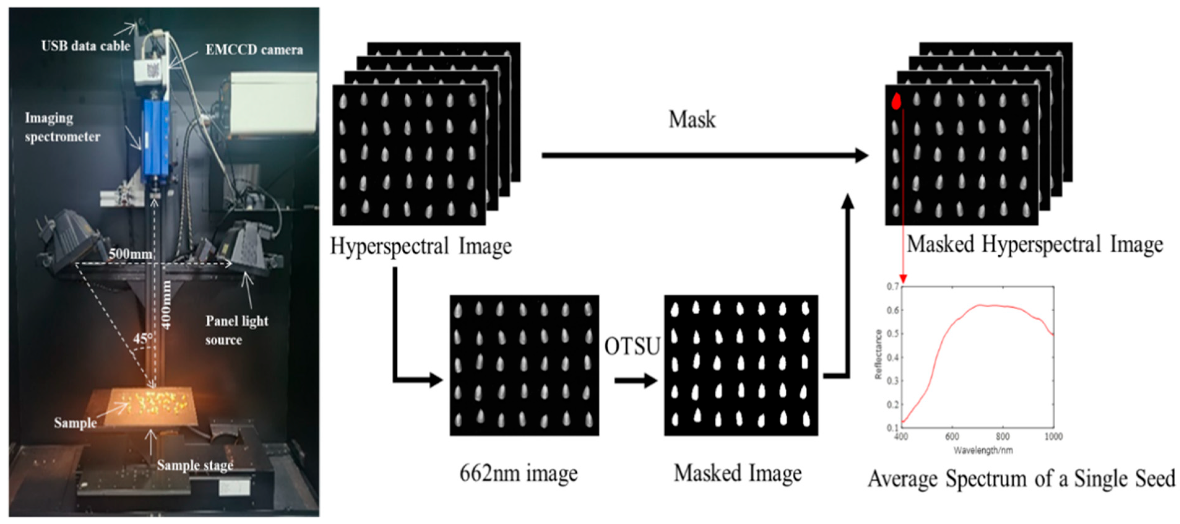 Maize Seed Variety Classification Based on Hyperspectral Imaging and a ...