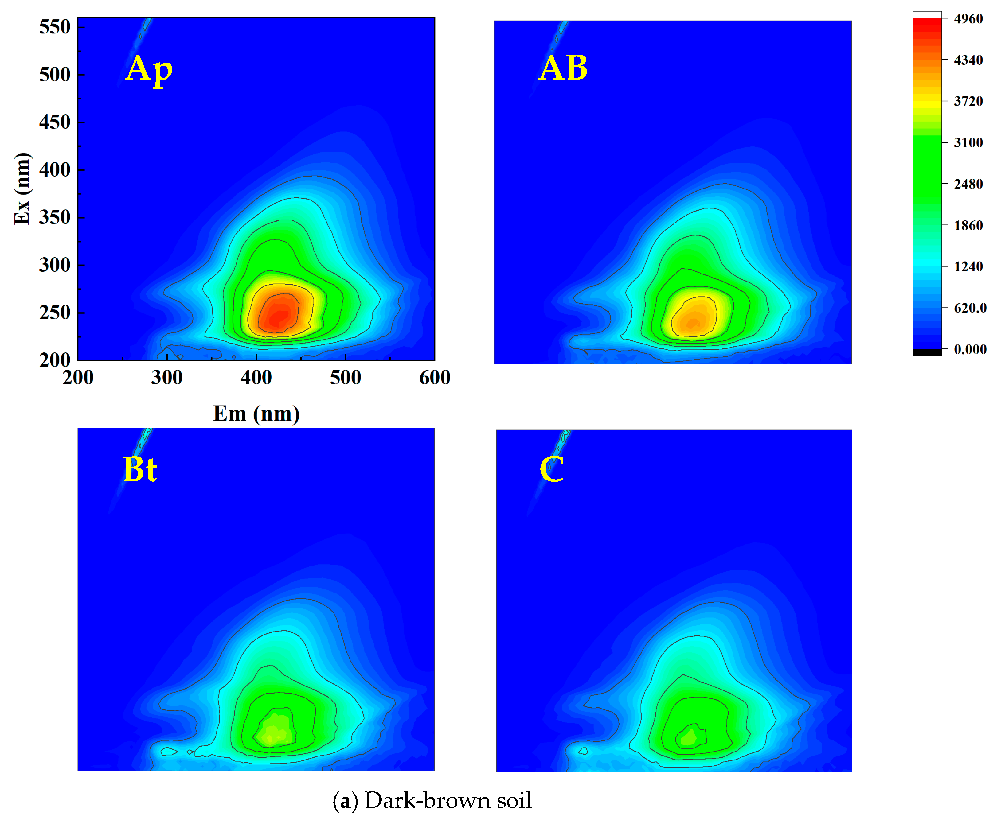 RG Distribution Patterns of Humus and Mineral Composition in