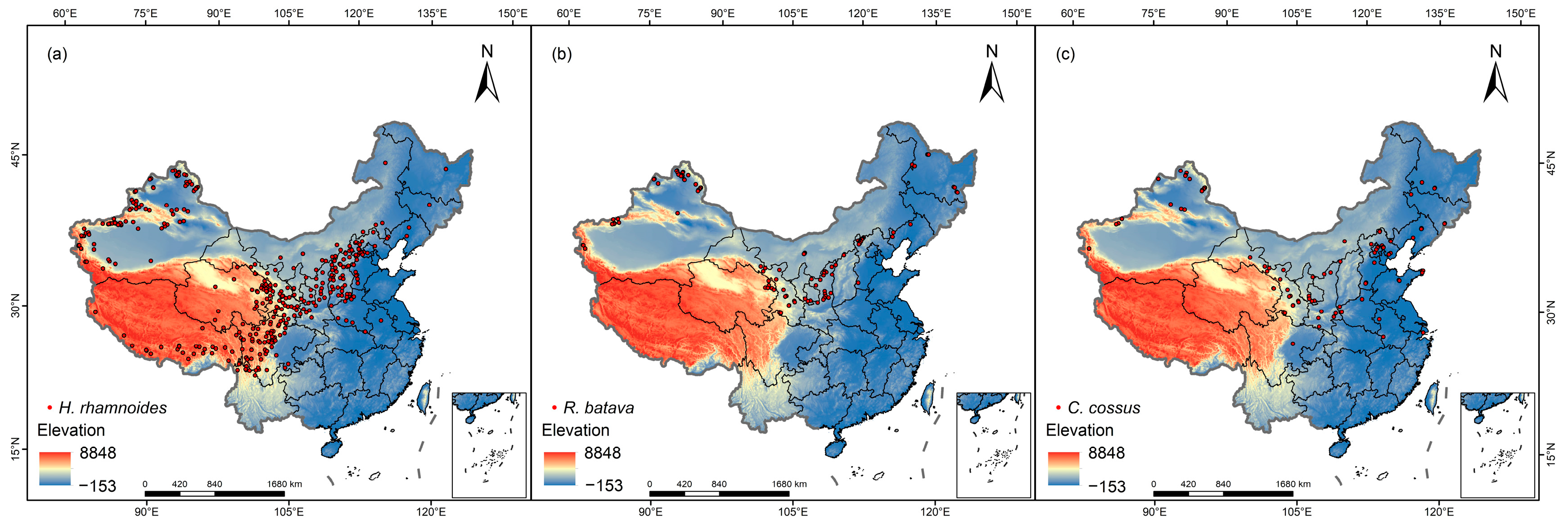 Optimal Planting Areas of Sea Buckthorn (Hippophae rhamnoides) Under the  Influences of Climate Change and Pests Using the MaxEnt Model