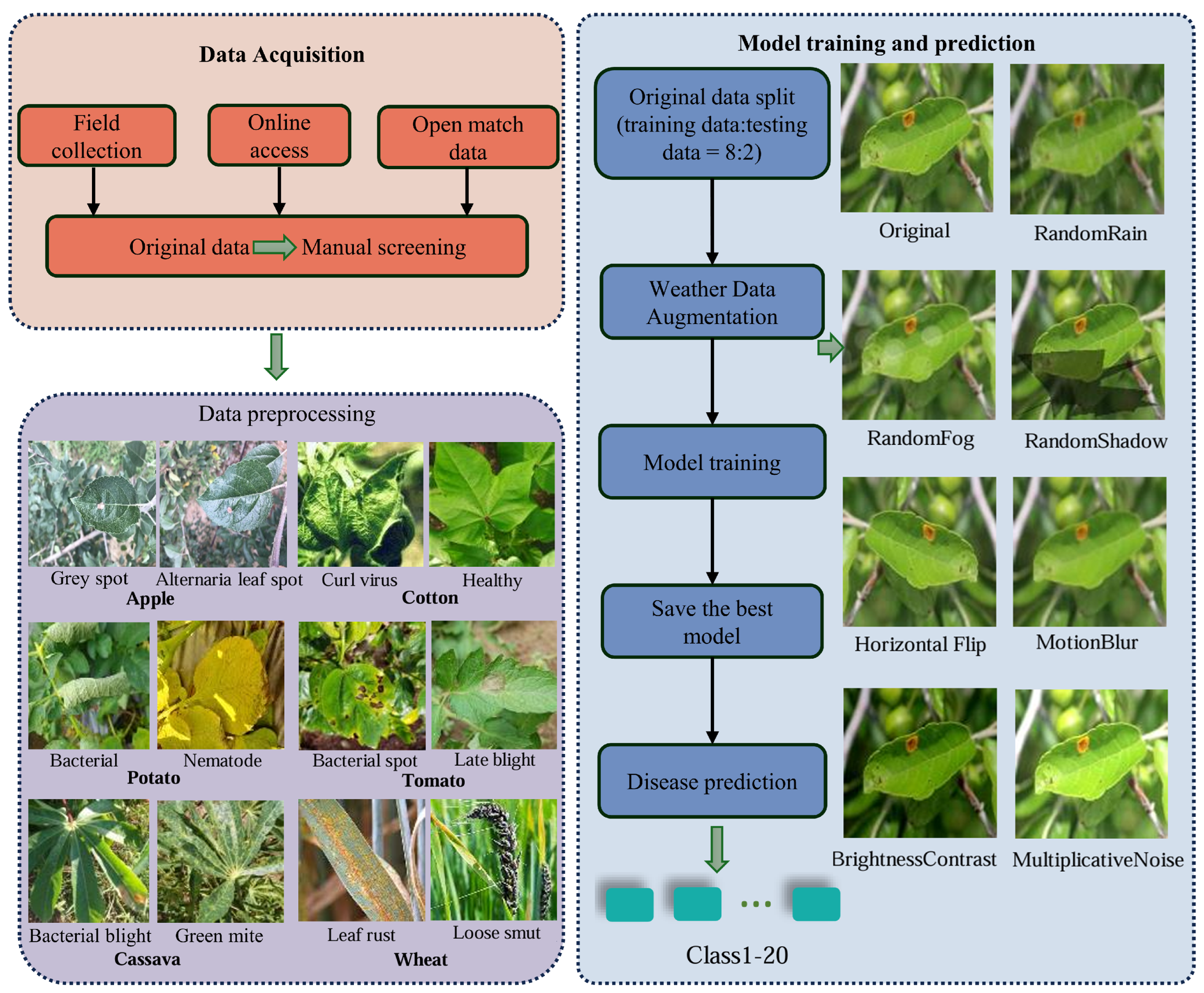 SREM-Net: A Novel Leaf Disease Classification Model for Field Crops ...
