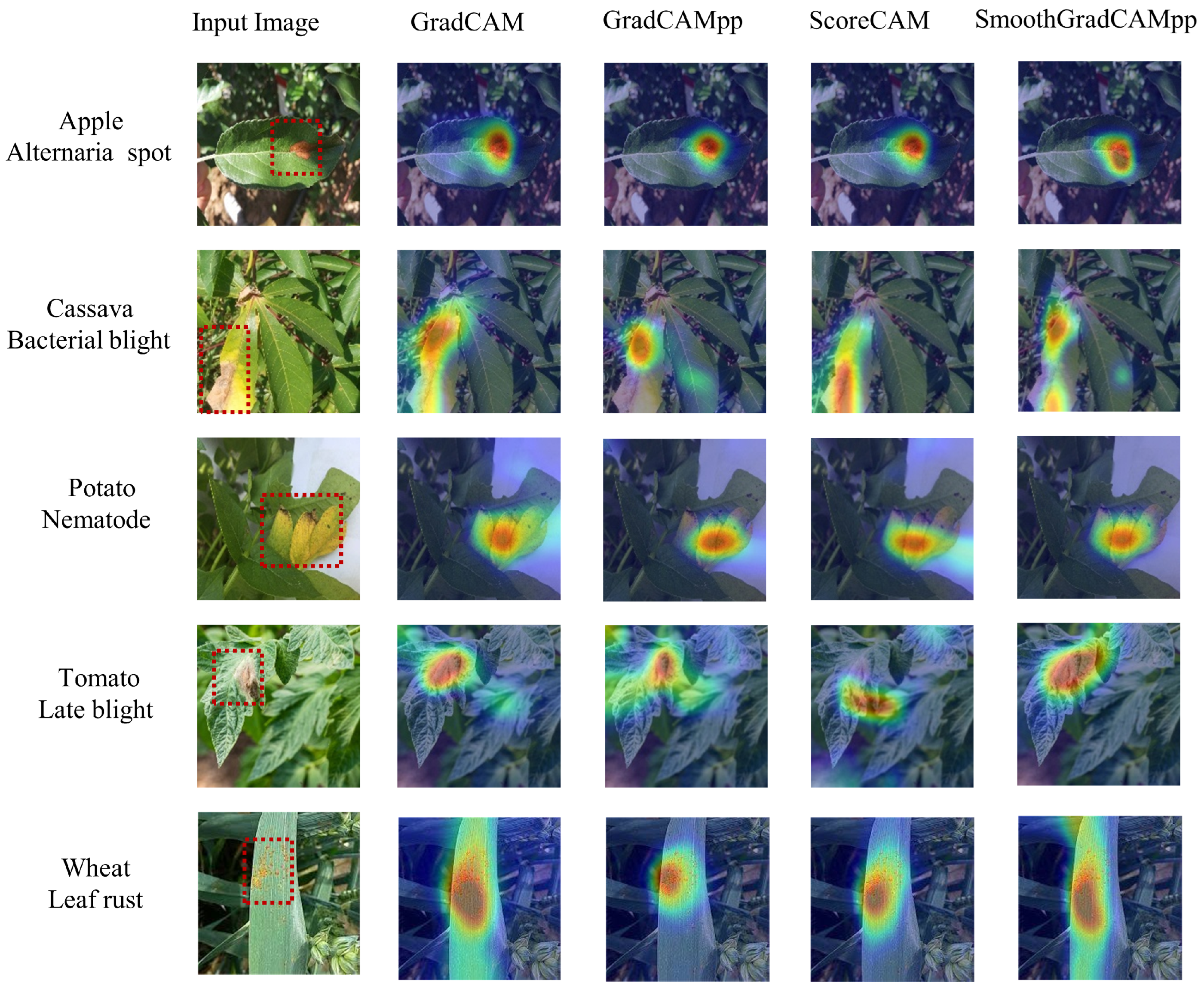 SREM-Net: A Novel Leaf Disease Classification Model for Field Crops ...
