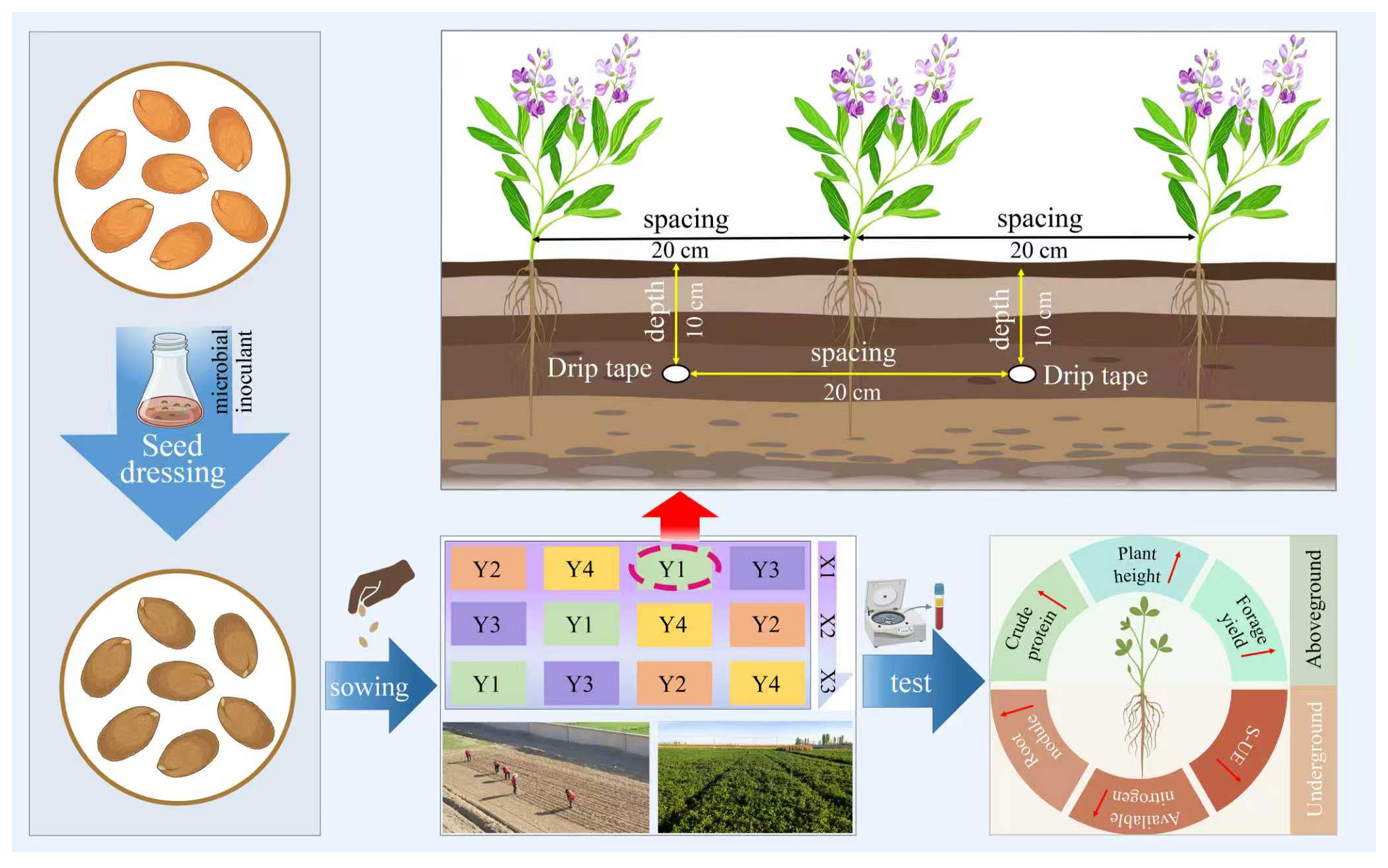 Effects of Co-Application of Diammonium Phosphate Fertilizer with ...