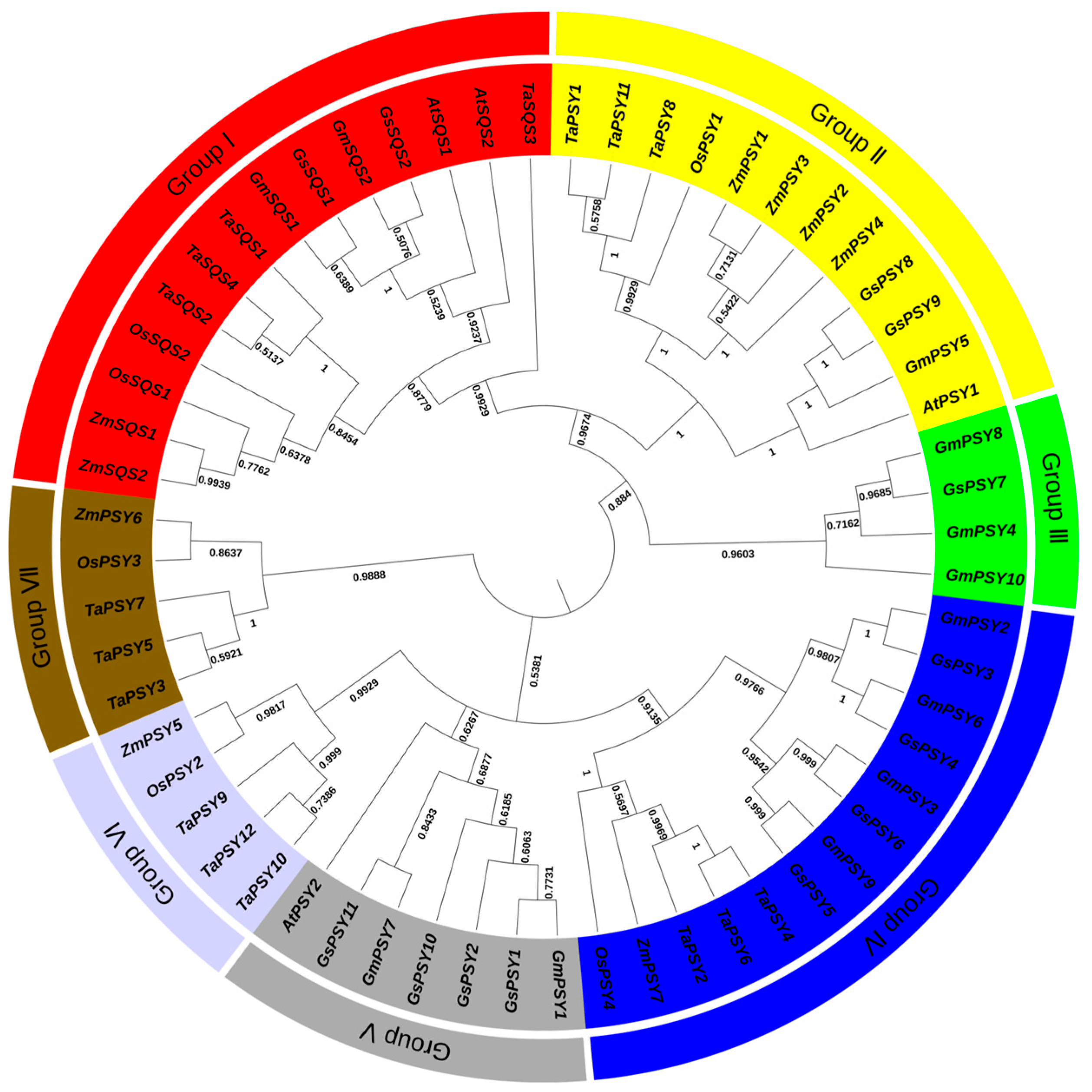 Genome-Wide Analysis of the Soybean SQS_PSY Gene Family and Its Role in ...