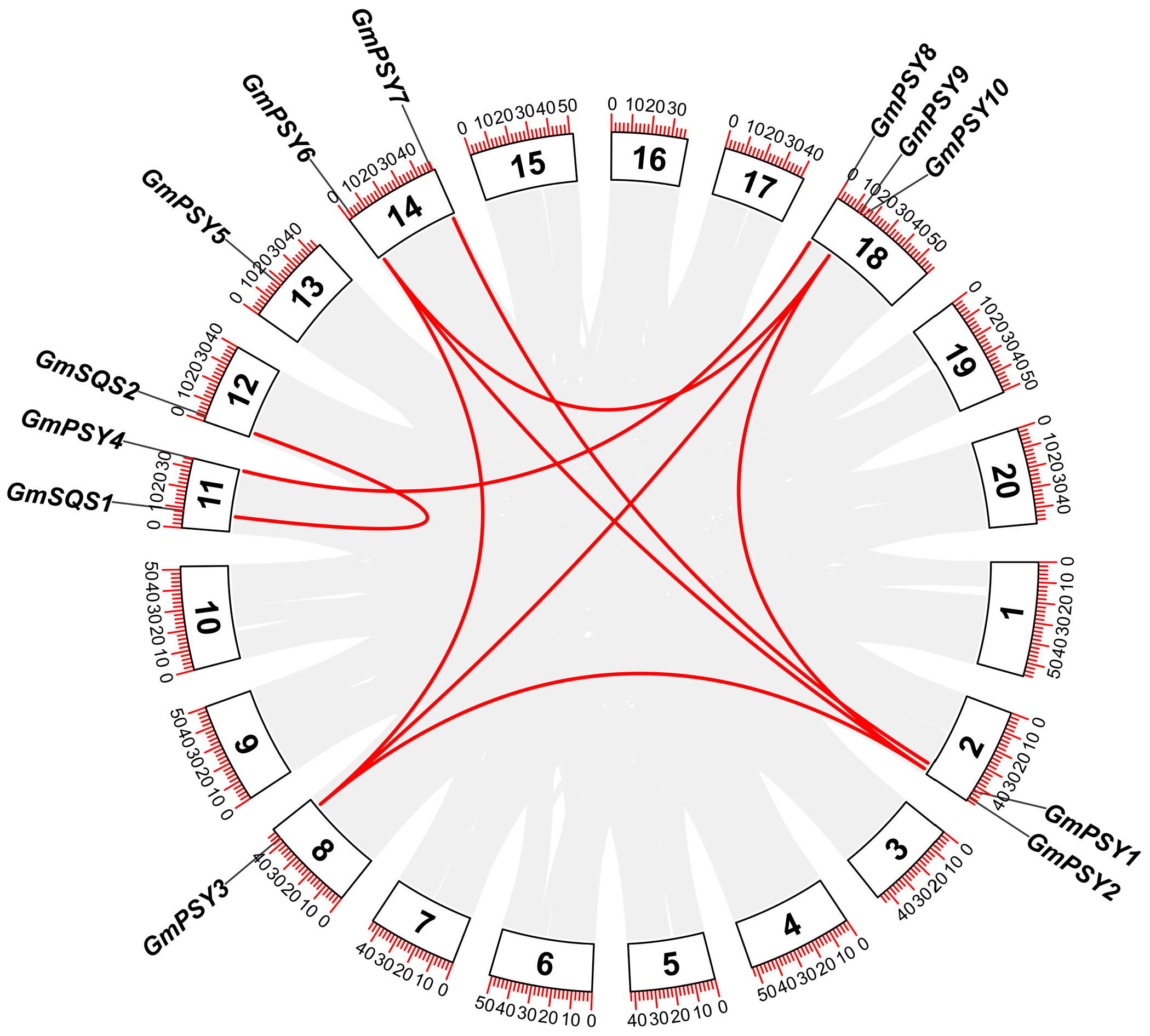 Genome-Wide Analysis of the Soybean SQS_PSY Gene Family and Its Role in ...
