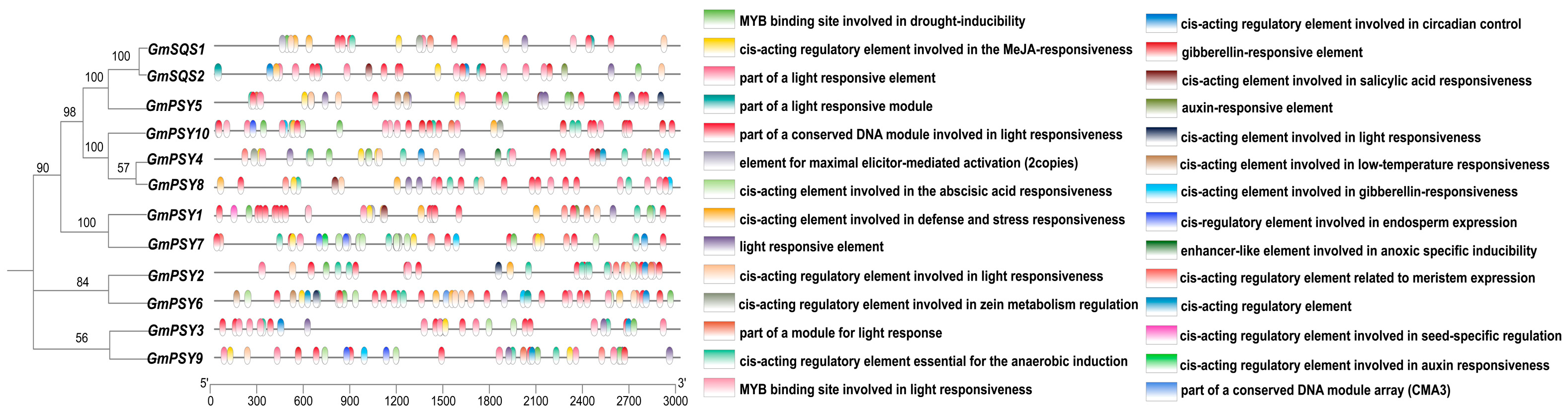 Genome-Wide Analysis of the Soybean SQS_PSY Gene Family and Its Role in ...
