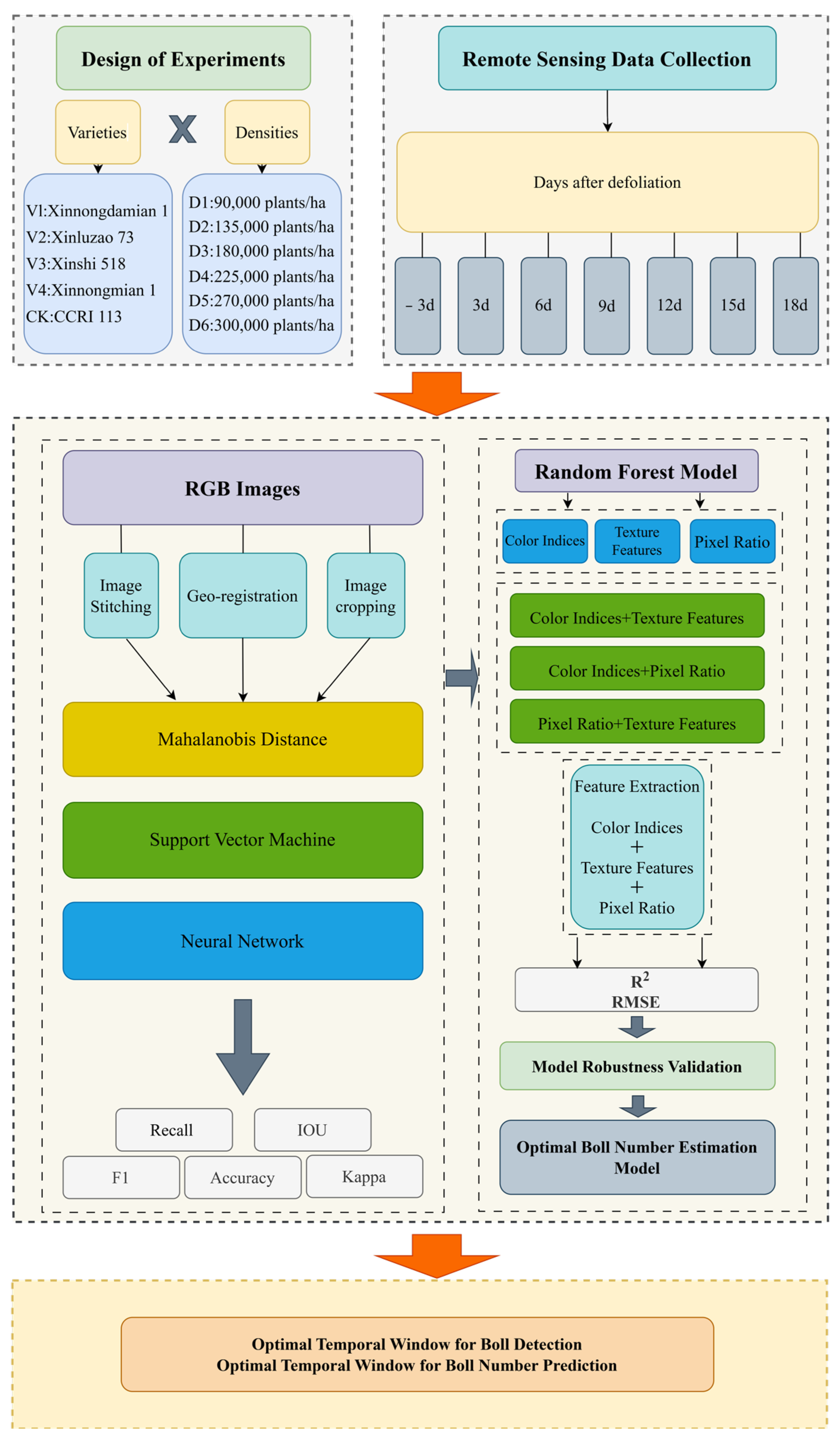 Cotton Boll Extraction and Boll Number Estimation from UAV RGB Imagery ...