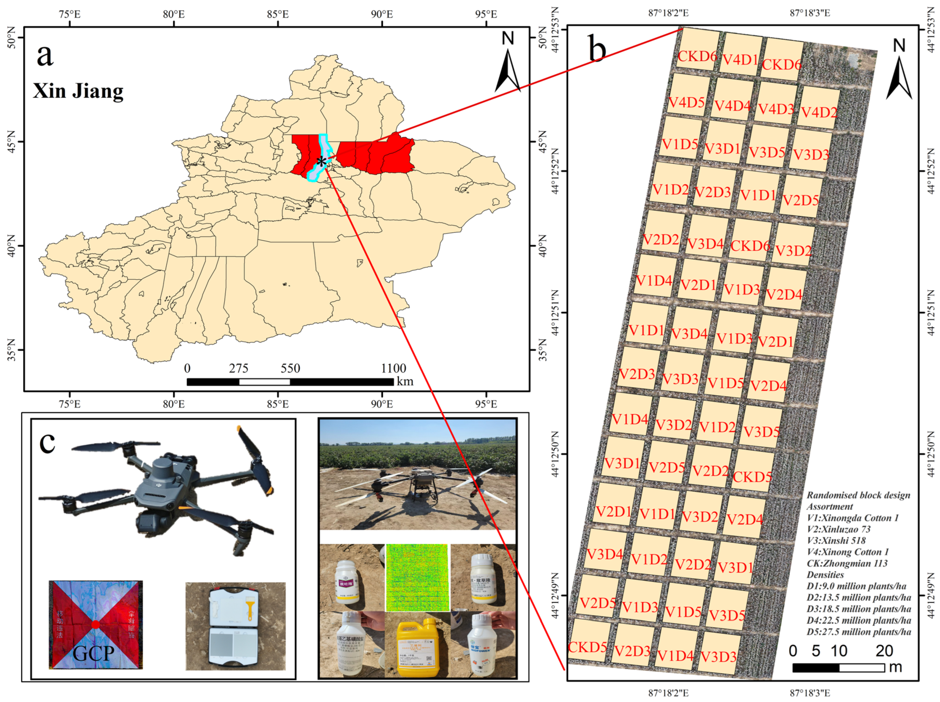 Cotton Boll Extraction and Boll Number Estimation from UAV RGB Imagery ...