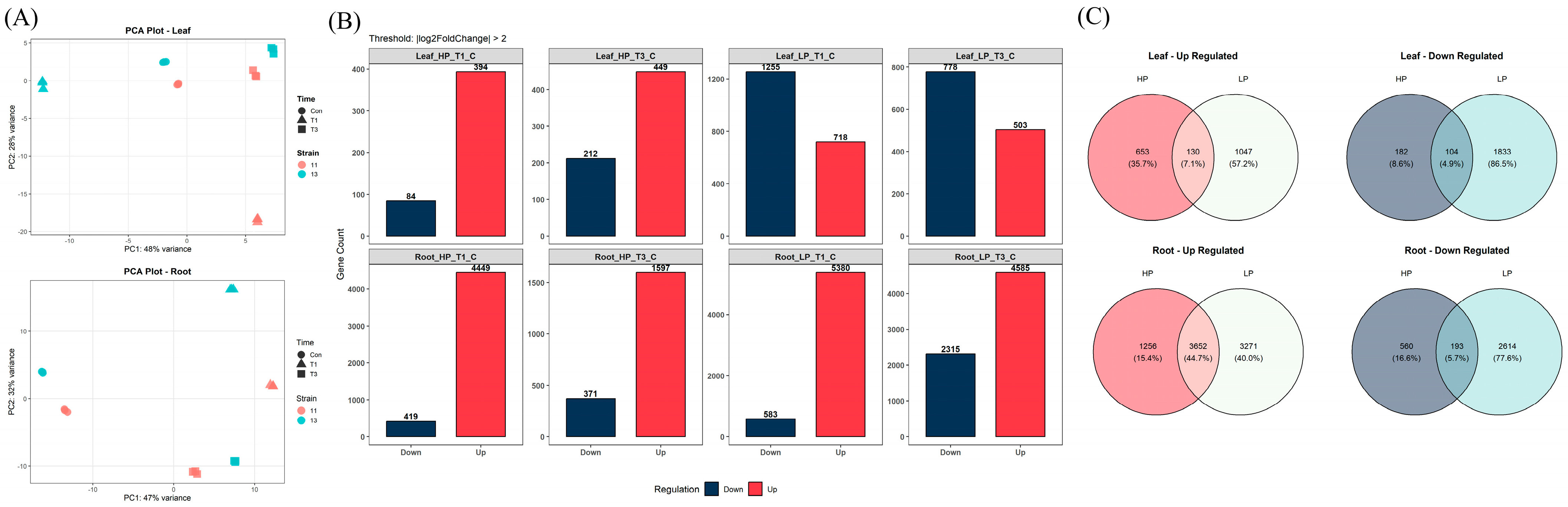 Comparative Transcriptomic Analysis of High- and Low-Protein Wheat ...