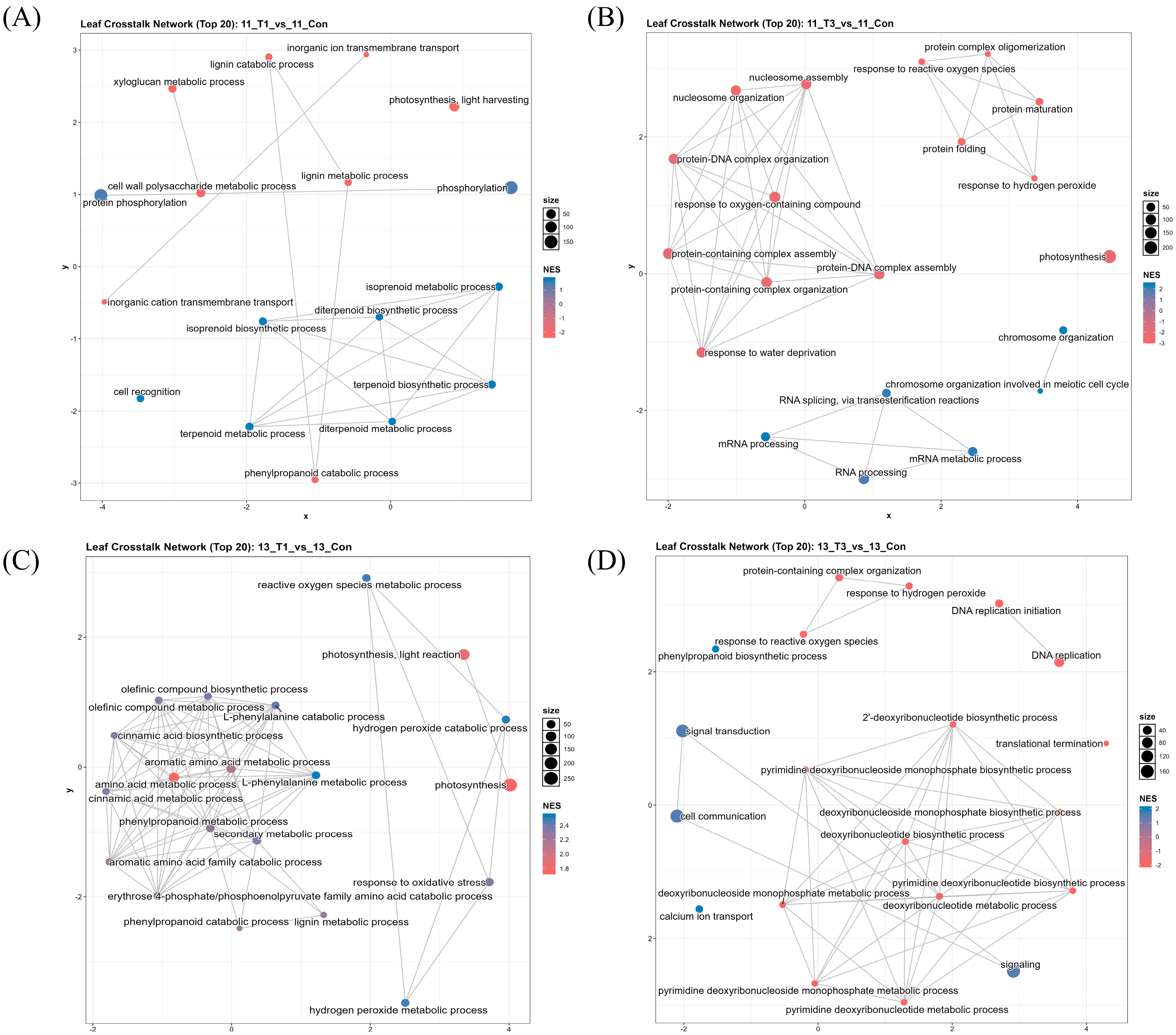 Comparative Transcriptomic Analysis of High- and Low-Protein Wheat ...