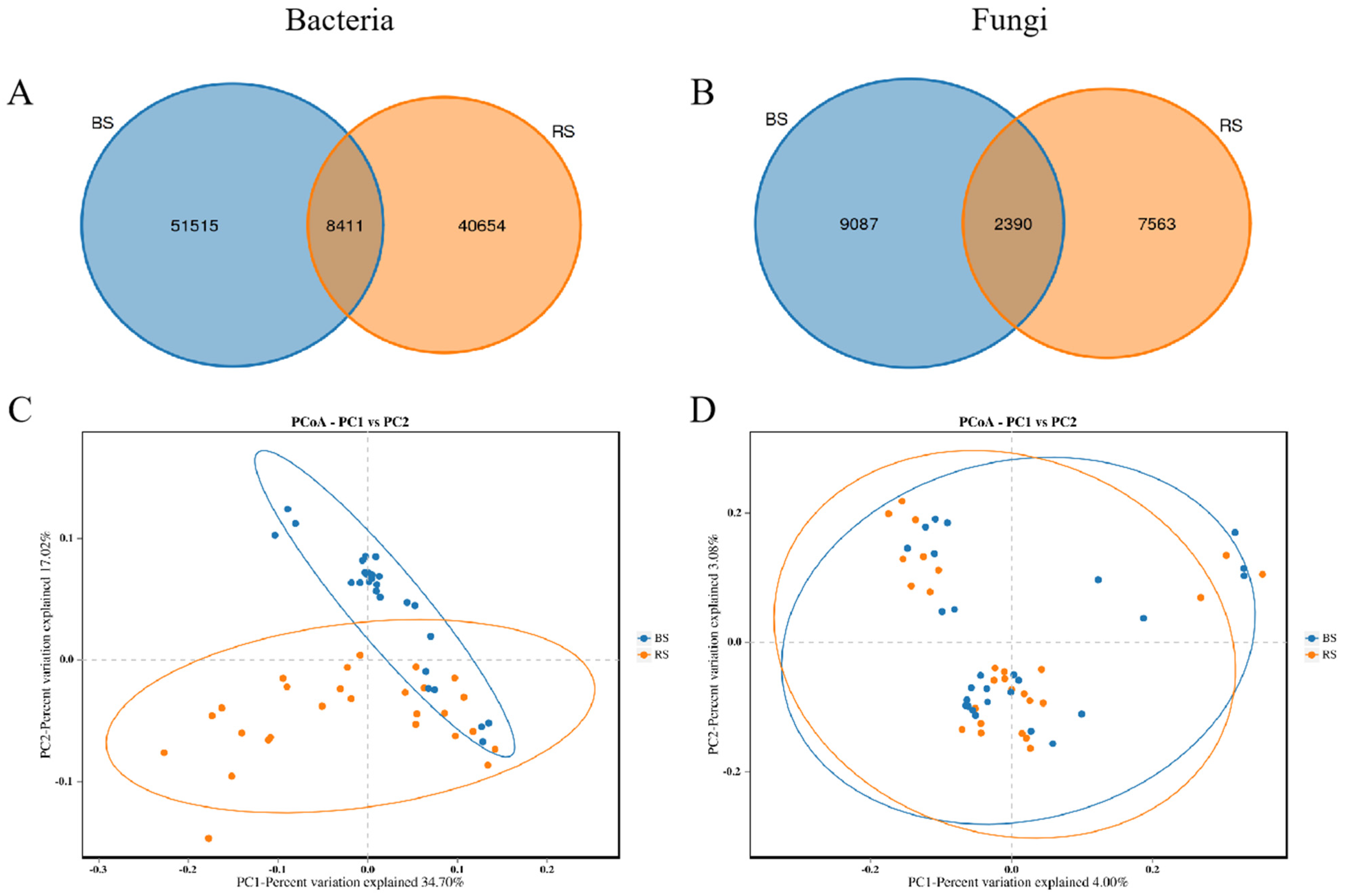 Structural Characteristics and Taxonomic Composition of the Rhizosphere ...