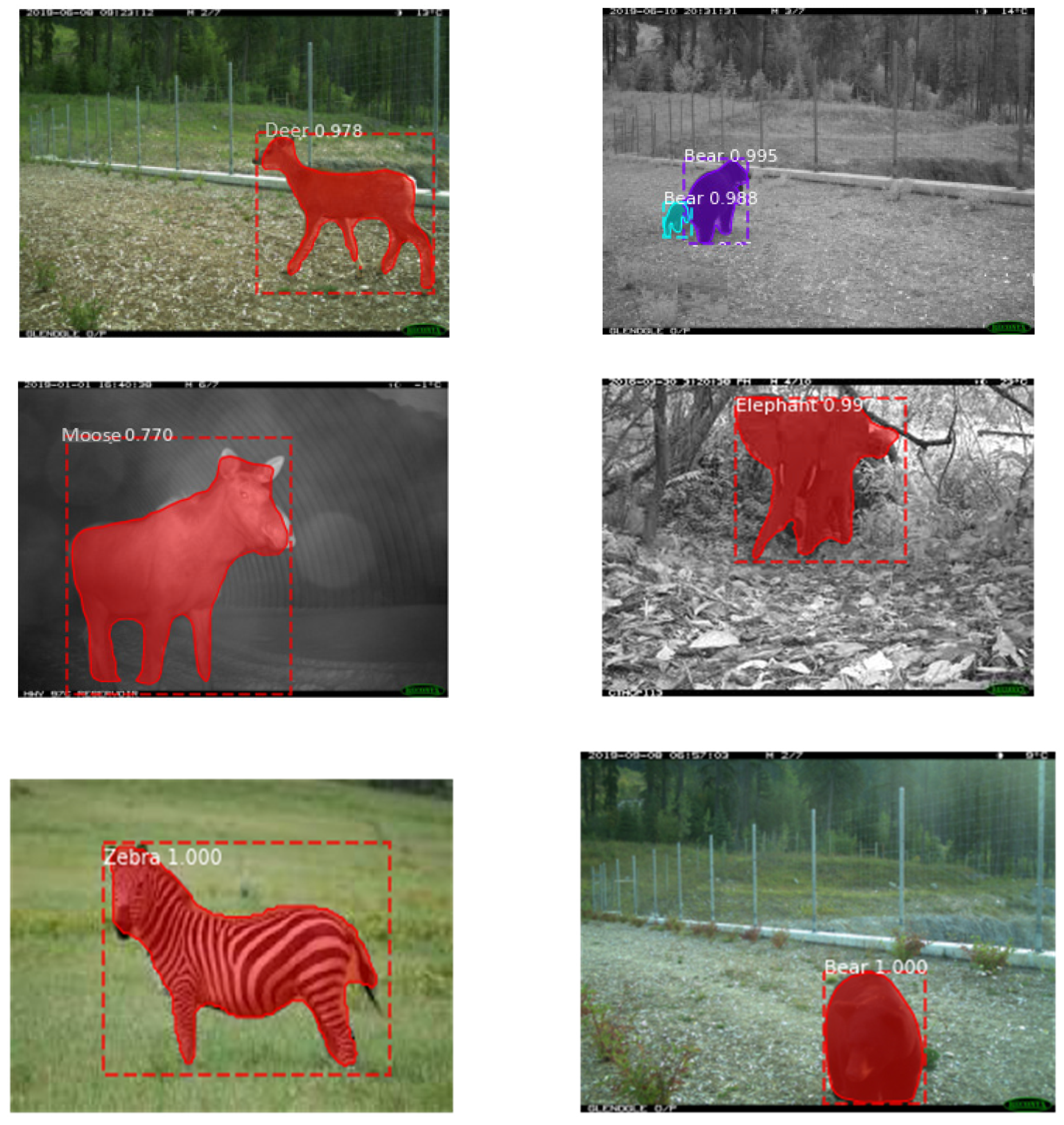 AI | Free Full-Text | A Performance Comparison and Enhancement of Animal  Species Detection in Images with Various R-CNN Models
