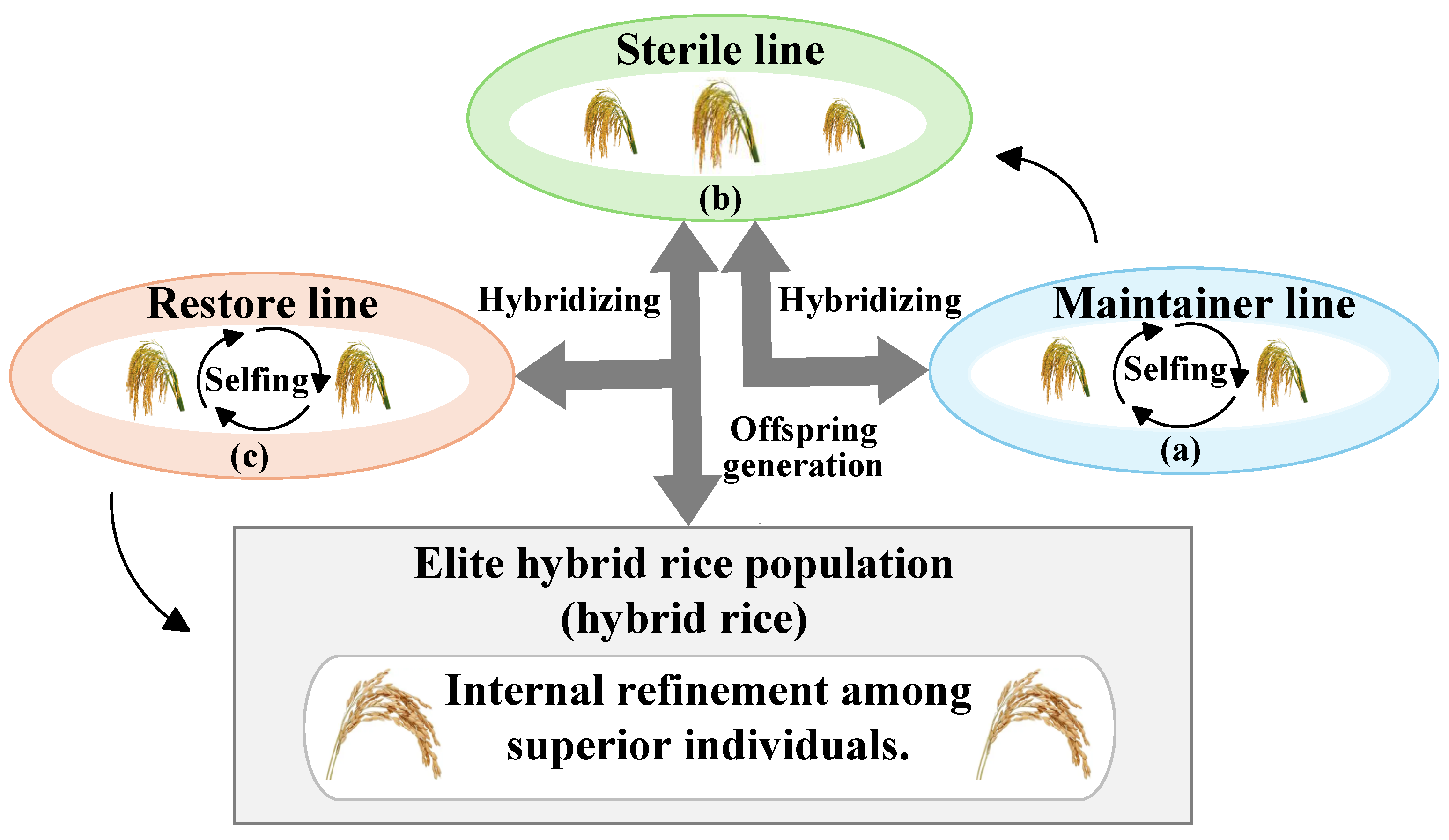 Unsupervised Text Feature Selection for Clustering via a Hybrid ...