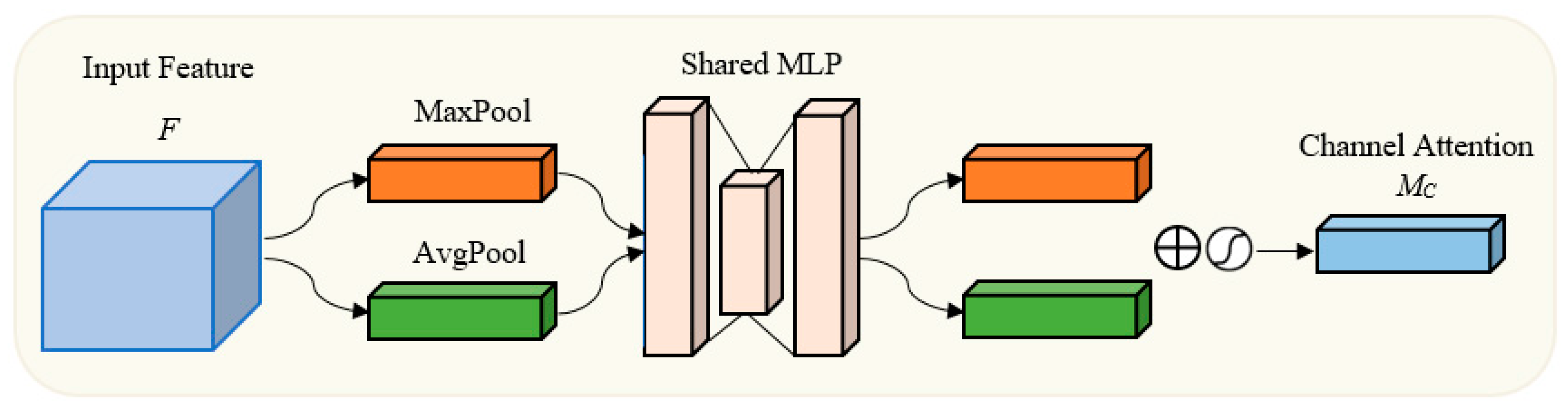 ID-MSNet: An Enhanced Multi-Scale Network with Convolutional Attention ...