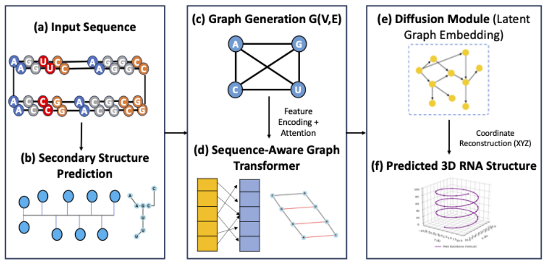 RNAFoldDiff-Based Sequence-Aware Graph Diffusion for Accurate RNA 3D ...