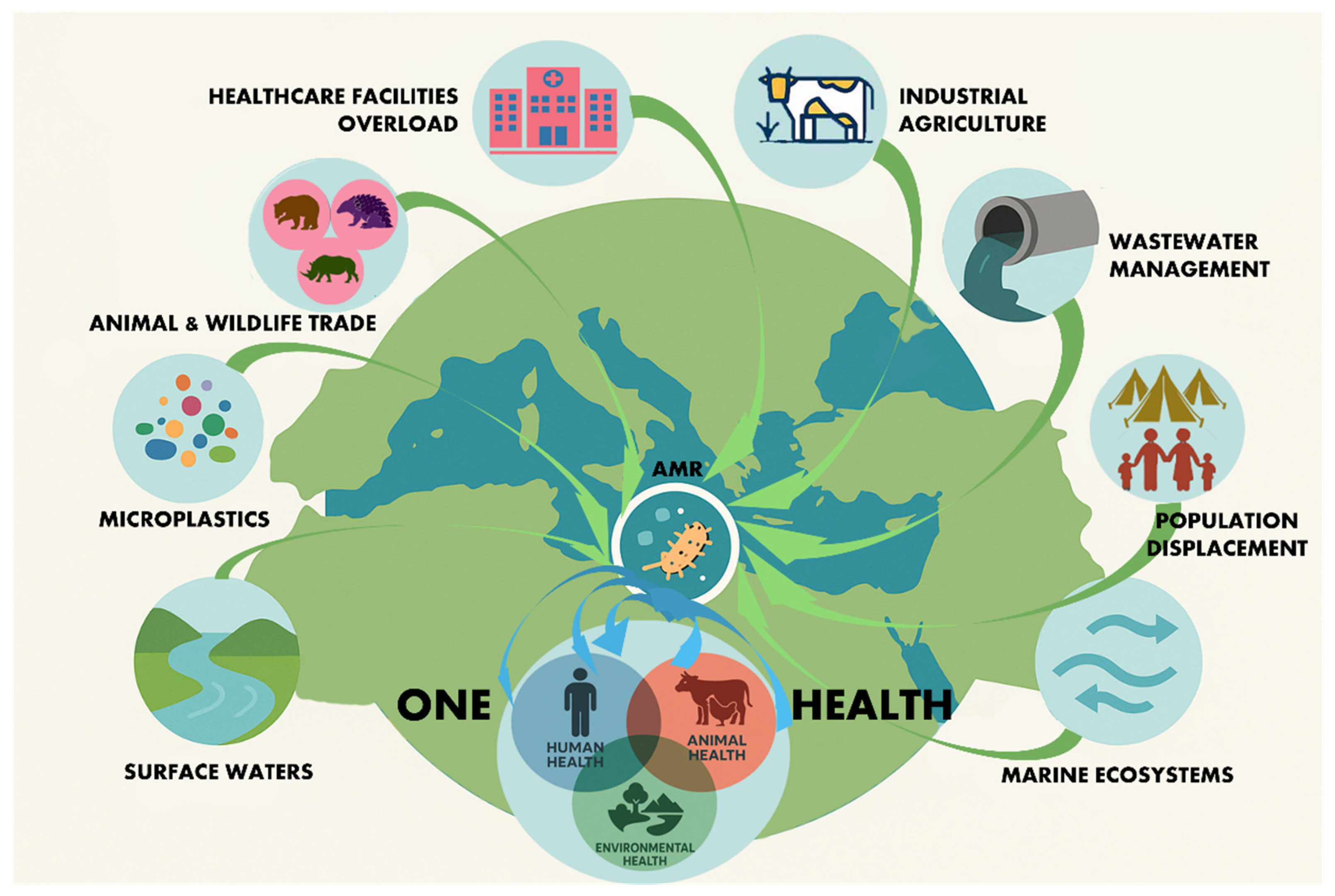 The Role of Environmental and Climatic Factors in Accelerating ...