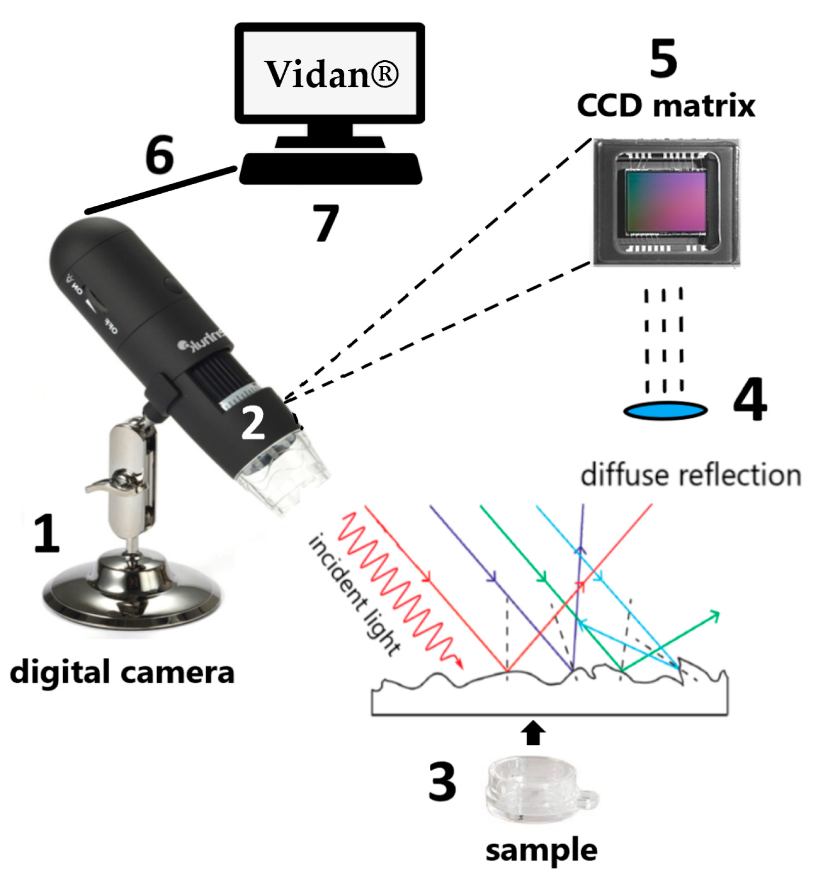 Chemometric Methods Chemometric Approaches for Identification of Herbal Medicinal Products