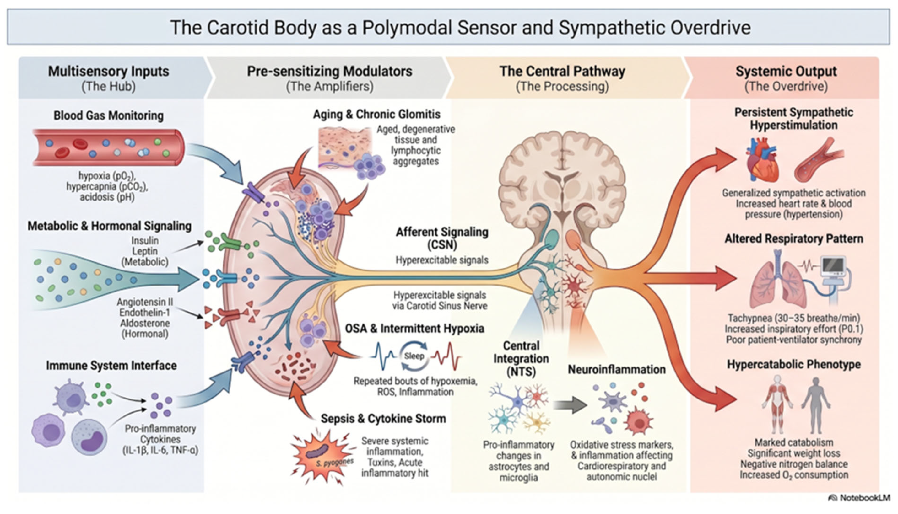 Polymodal Chemoreception by the Carotid Body in Severe Sepsis ...