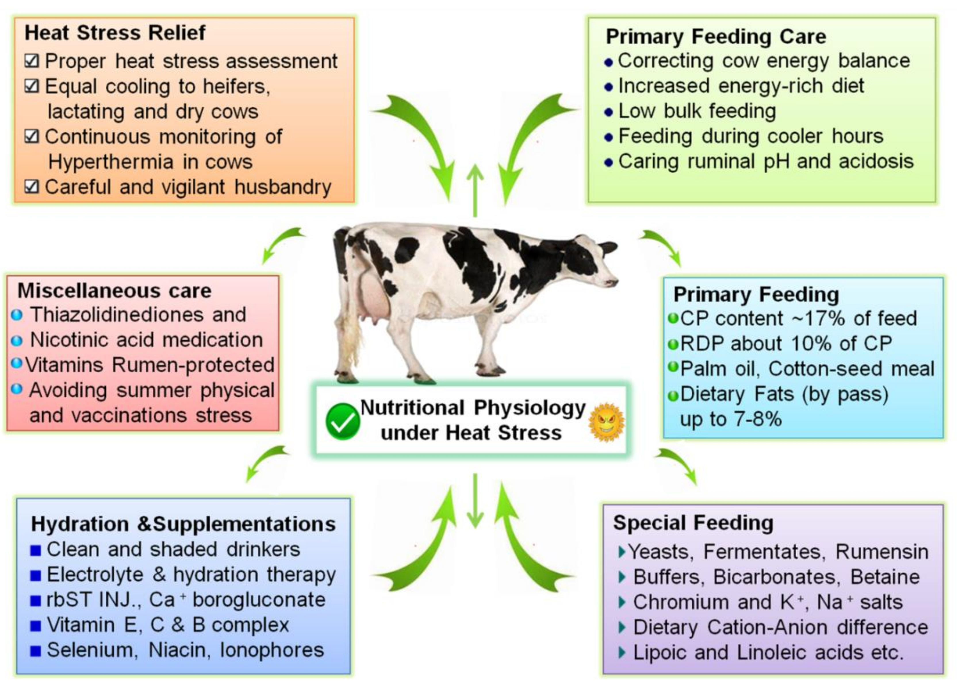 Animals | Free Full-Text | Nutritional Physiology and Biochemistry of Dairy  Cattle under the Influence of Heat Stress: Consequences and Opportunities