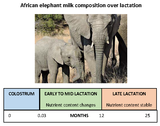 Animals | Free Full-Text | The Dynamic Changes of African Elephant Milk  Composition over Lactation