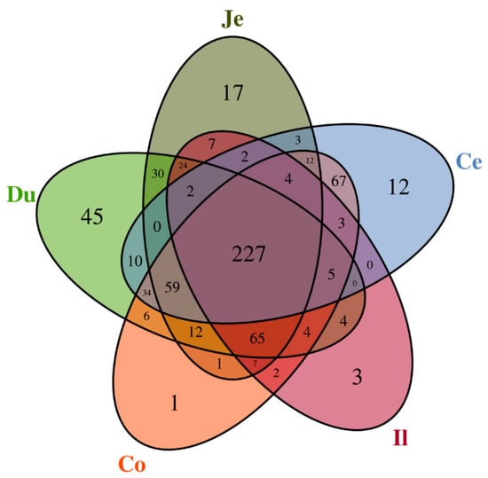 Animals | Free Full-Text | Microbial Community and Short-Chain Fatty ...