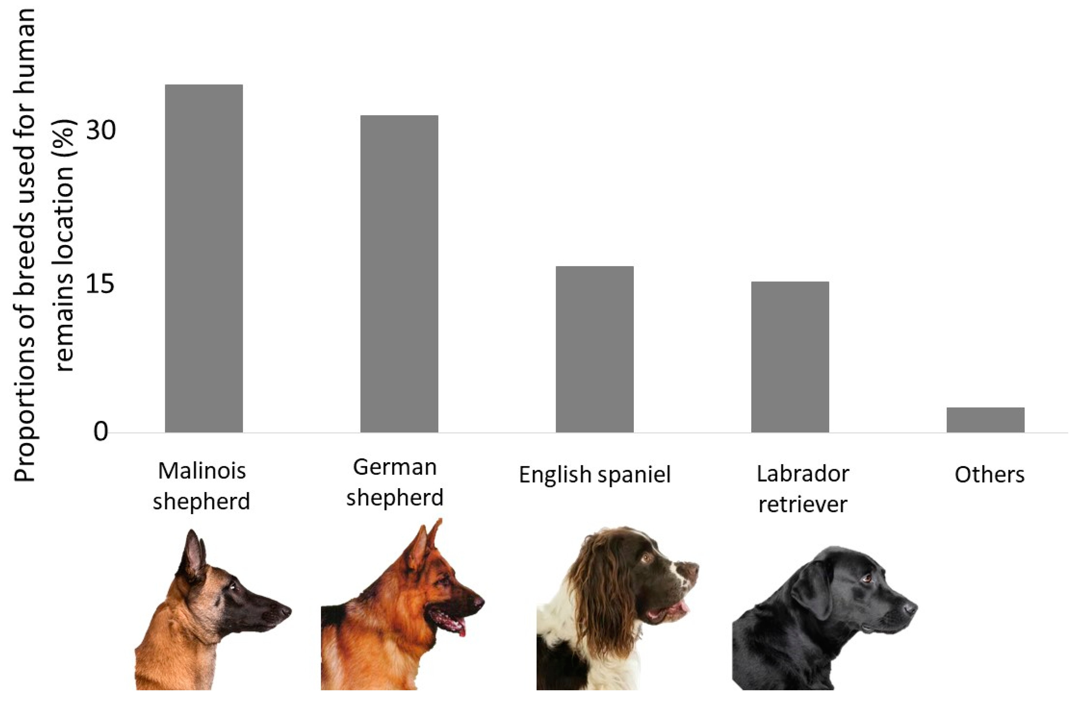 Animals Free Full-Text Cadaver Dogs and the Deathly Hallows—A Survey and Literature Review on Selection and Training Procedure pic