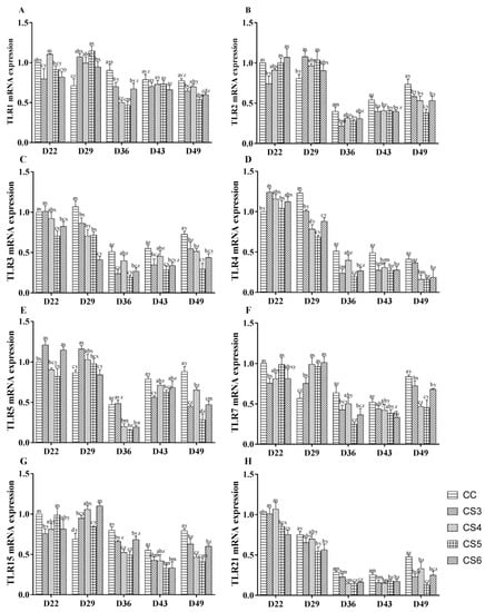 Effect of Intermittent and Mild Cold Stimulation on the