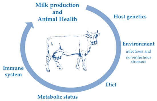 Animals | Special Issue : Genetics of Animal Health and Disease in Livestock