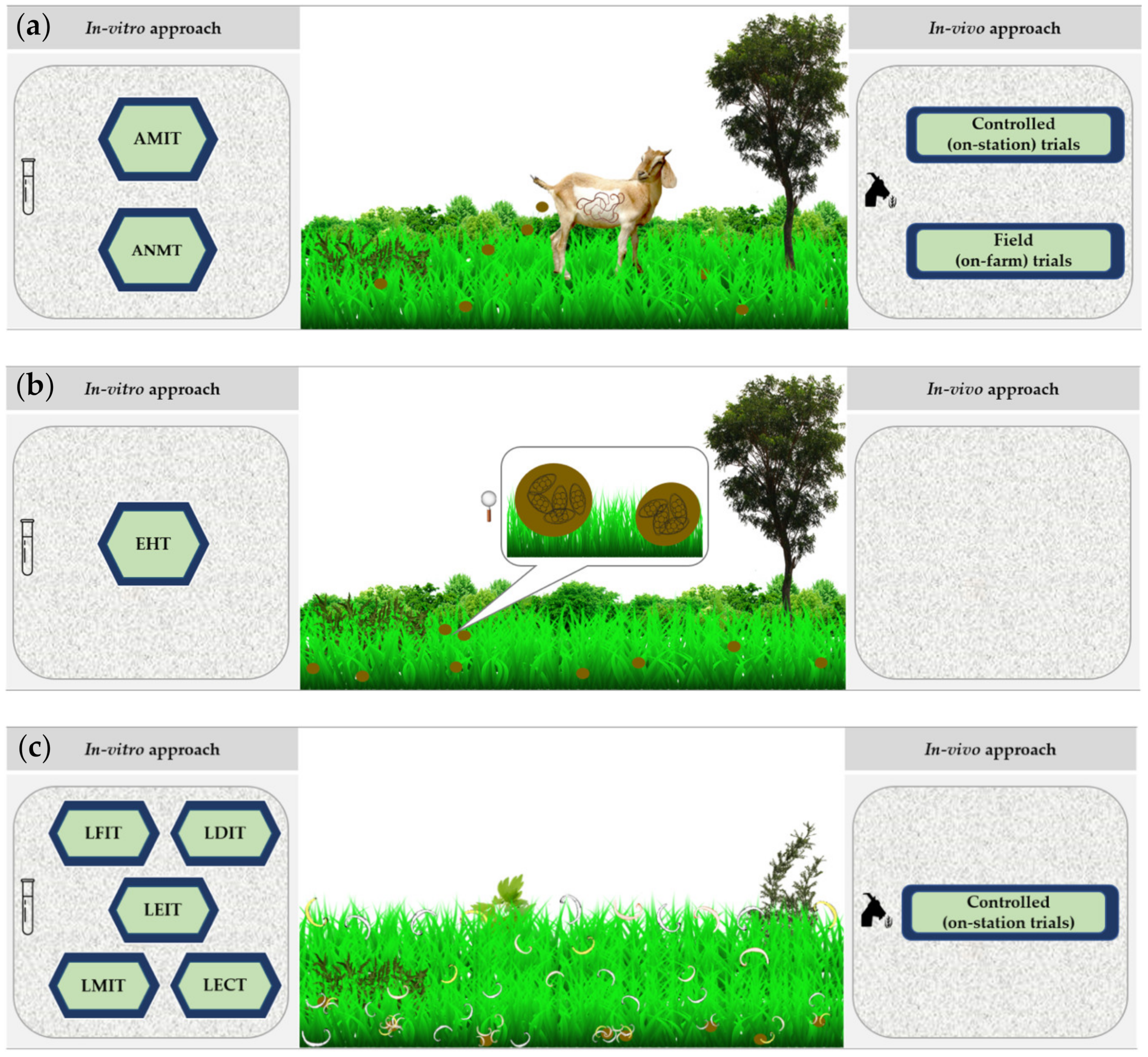Animals | Free Full-Text | Small Ruminant Production Based on Rangelands to  Optimize Animal Nutrition and Health: Building an Interdisciplinary  Approach to Evaluate Nutraceutical Plants
