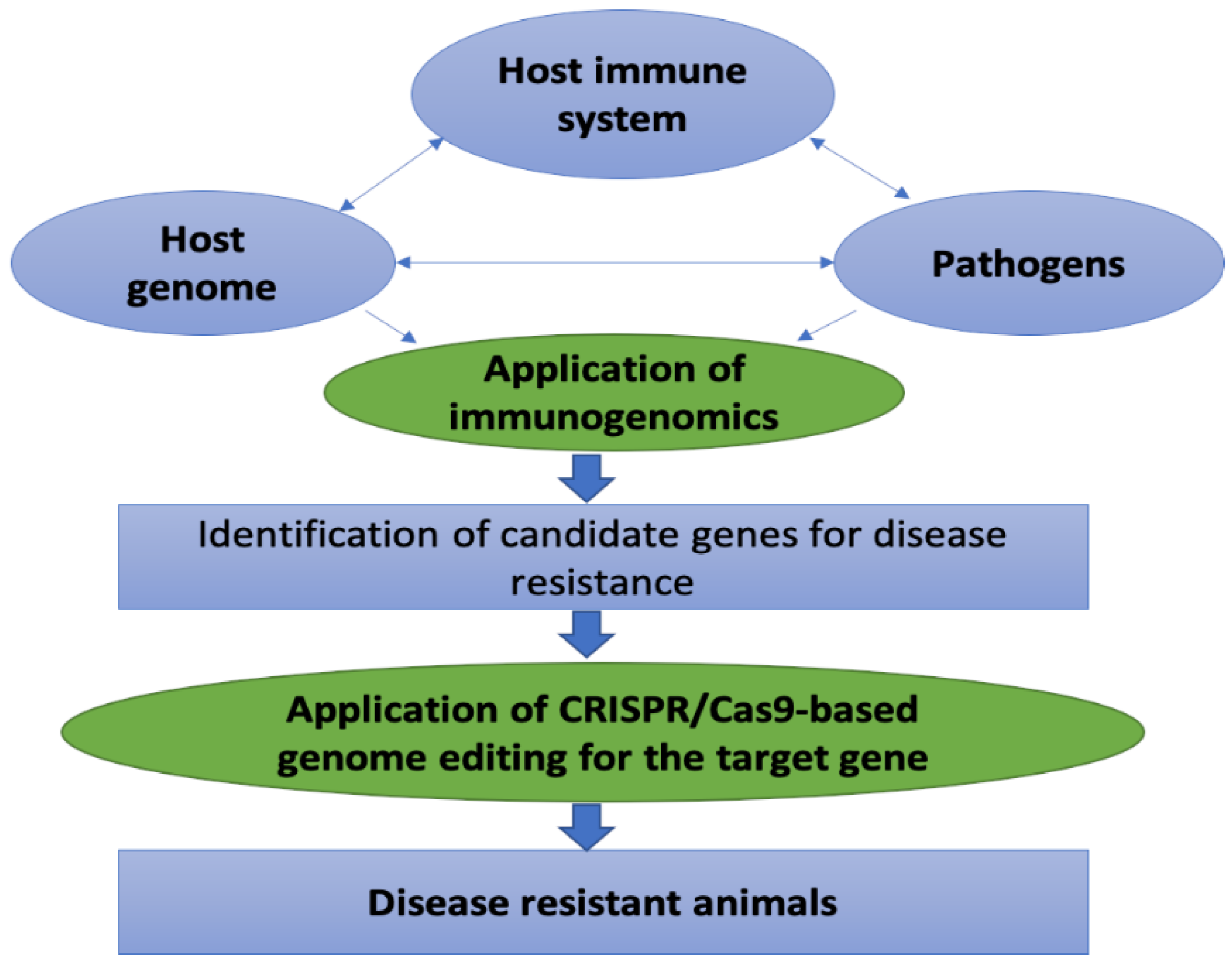 Animals | Free Full-Text | Improvement of Disease Resistance in