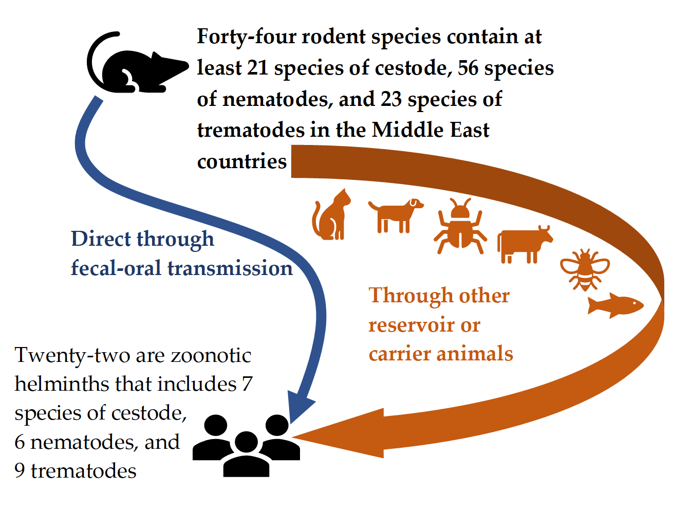 Animals | Free Full-Text | Helminth Parasites among Rodents in the Middle  East Countries: A Systematic Review and Meta-Analysis