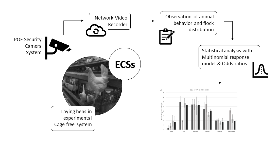 Animals | Free Full-Text | Assessing Environmental Control Strategies in  Cage-Free Egg Production Systems: Effect on Spatial Occupancy and Natural  Behaviors