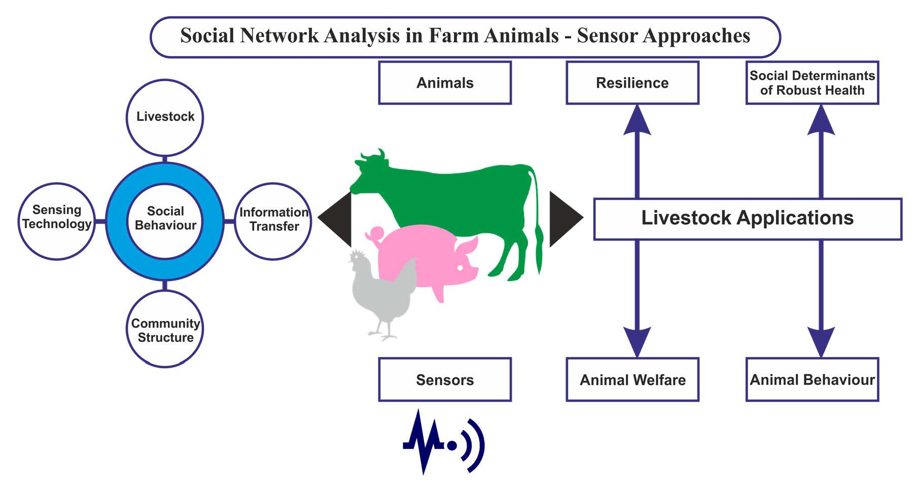 Animals | Free Full-Text | Social Network Analysis in Farm Animals:  Sensor-Based Approaches