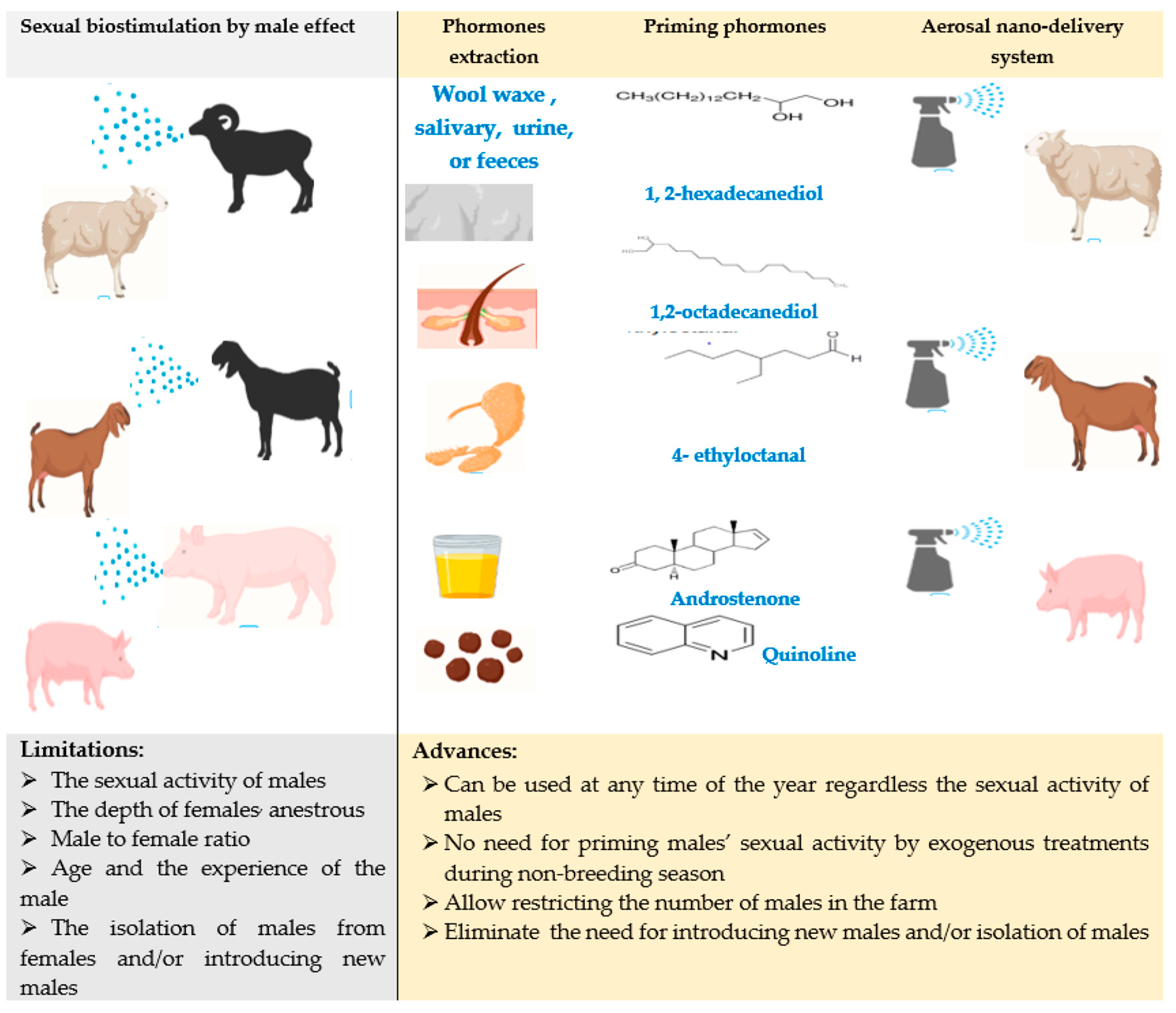 Animals | Free Full-Text | Nanotechnology and Reproductive Management of  Farm Animals: Challenges and Advances