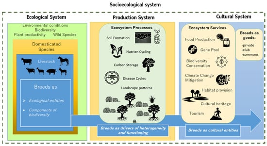 Animals | Special Issue : Animal Genetic Resources Conservation: From  Optimal to Feasible