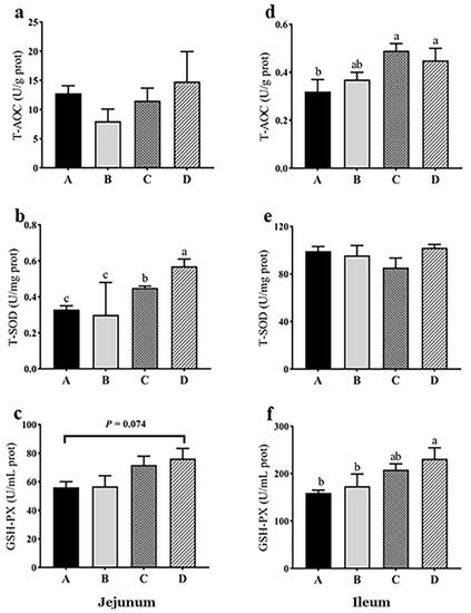 Animals | Free Full-Text | Dietary Clostridium butyricum and Bacillus ...