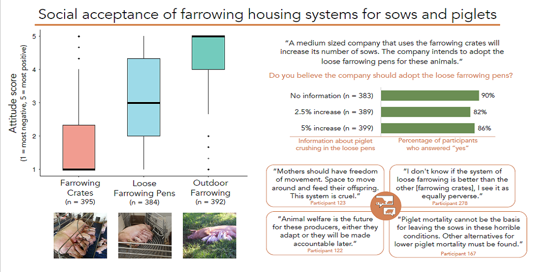 Animals | Free Full-Text | “Mothers Should Have Freedom of  Movement”—Citizens’ Attitudes Regarding Farrowing Housing  Systems for Sows and Their Piglets