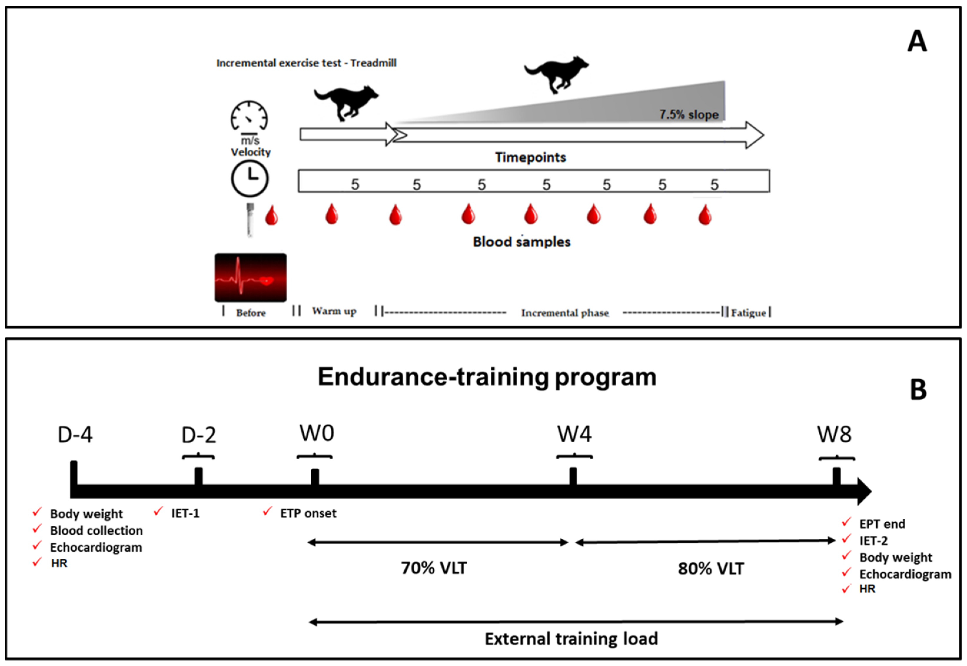 Variability among strain variables derived from two-dimensional speckle  tracking echocardiography in dogs by use of various software in: American  Journal of Veterinary Research Volume 80 Issue 4 ()