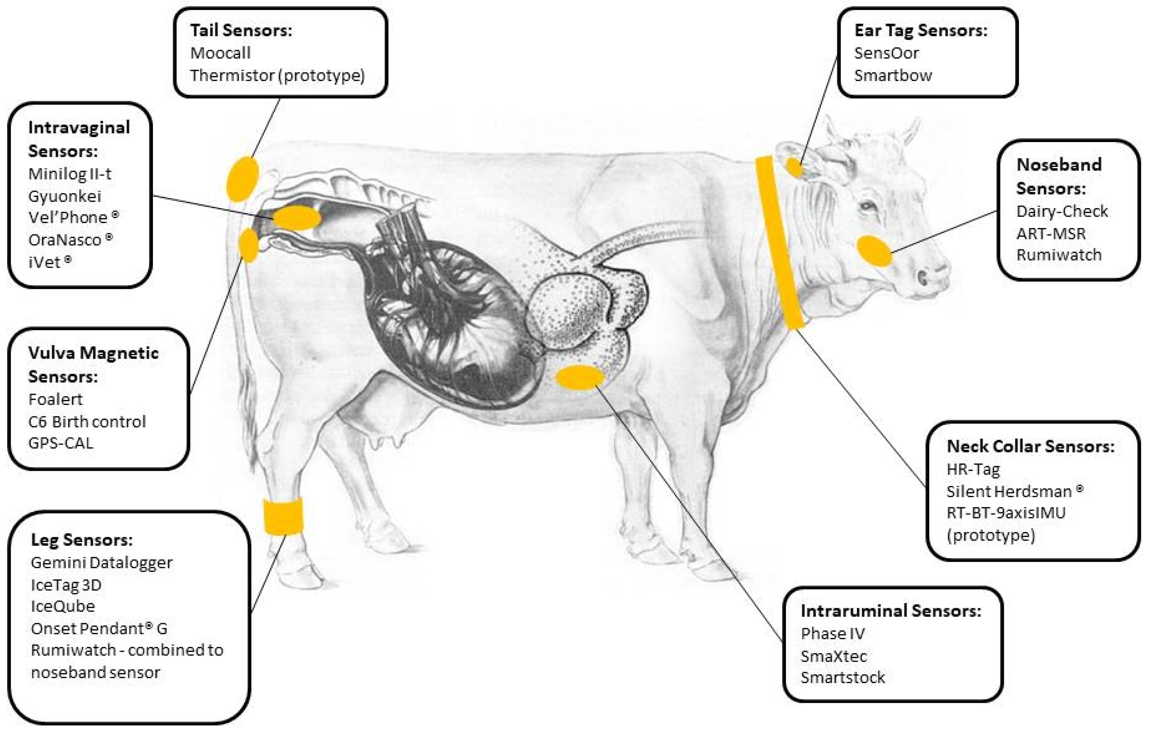 Animals | Free Full-Text | How to Predict Parturition in Cattle? A  Literature Review of Automatic Devices and Technologies for Remote  Monitoring and Calving Prediction