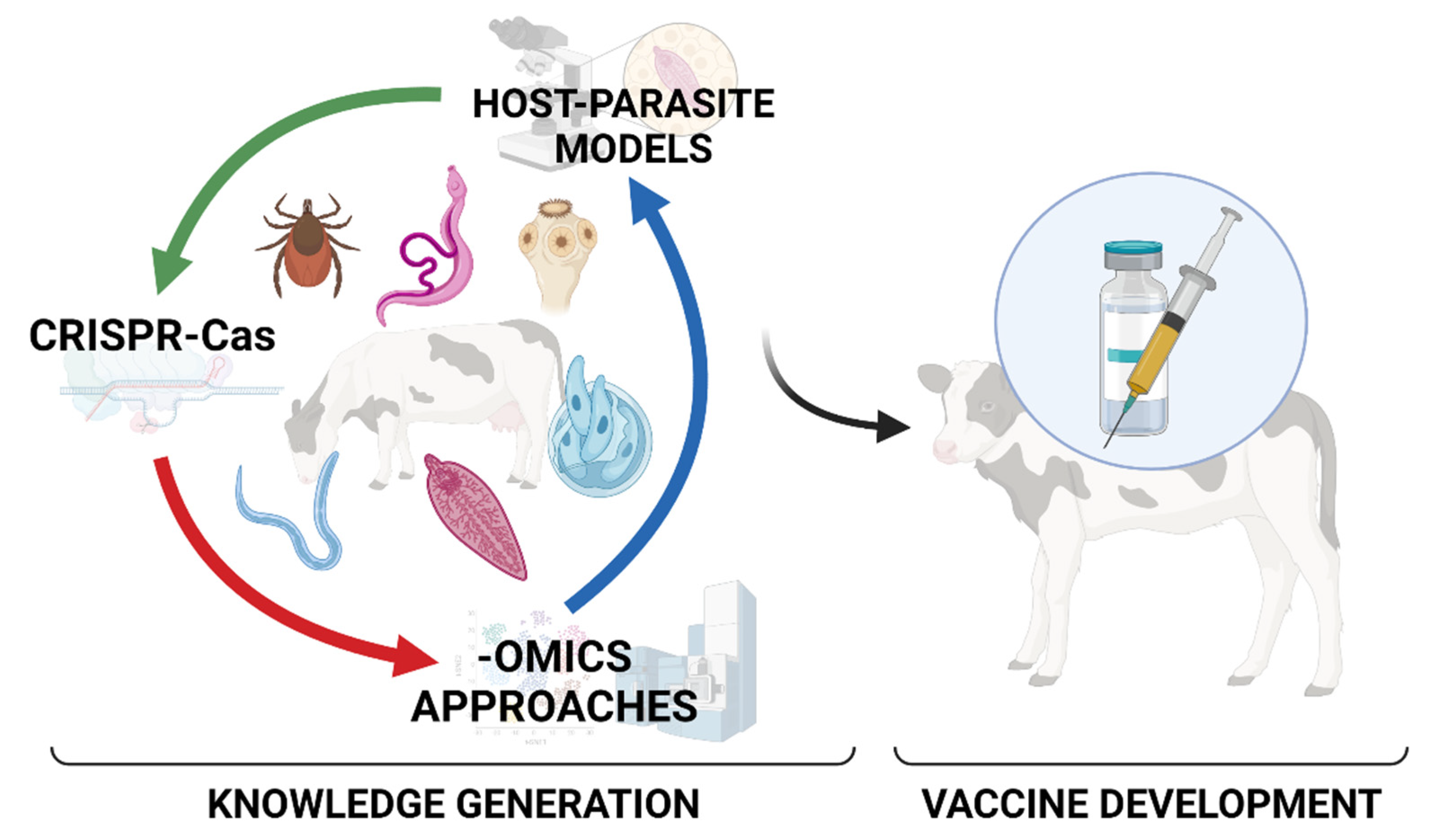 Animals | Free Full-Text | Host–Parasite Relationships in Veterinary  Parasitology: Get to Know Your Enemy before Fighting It
