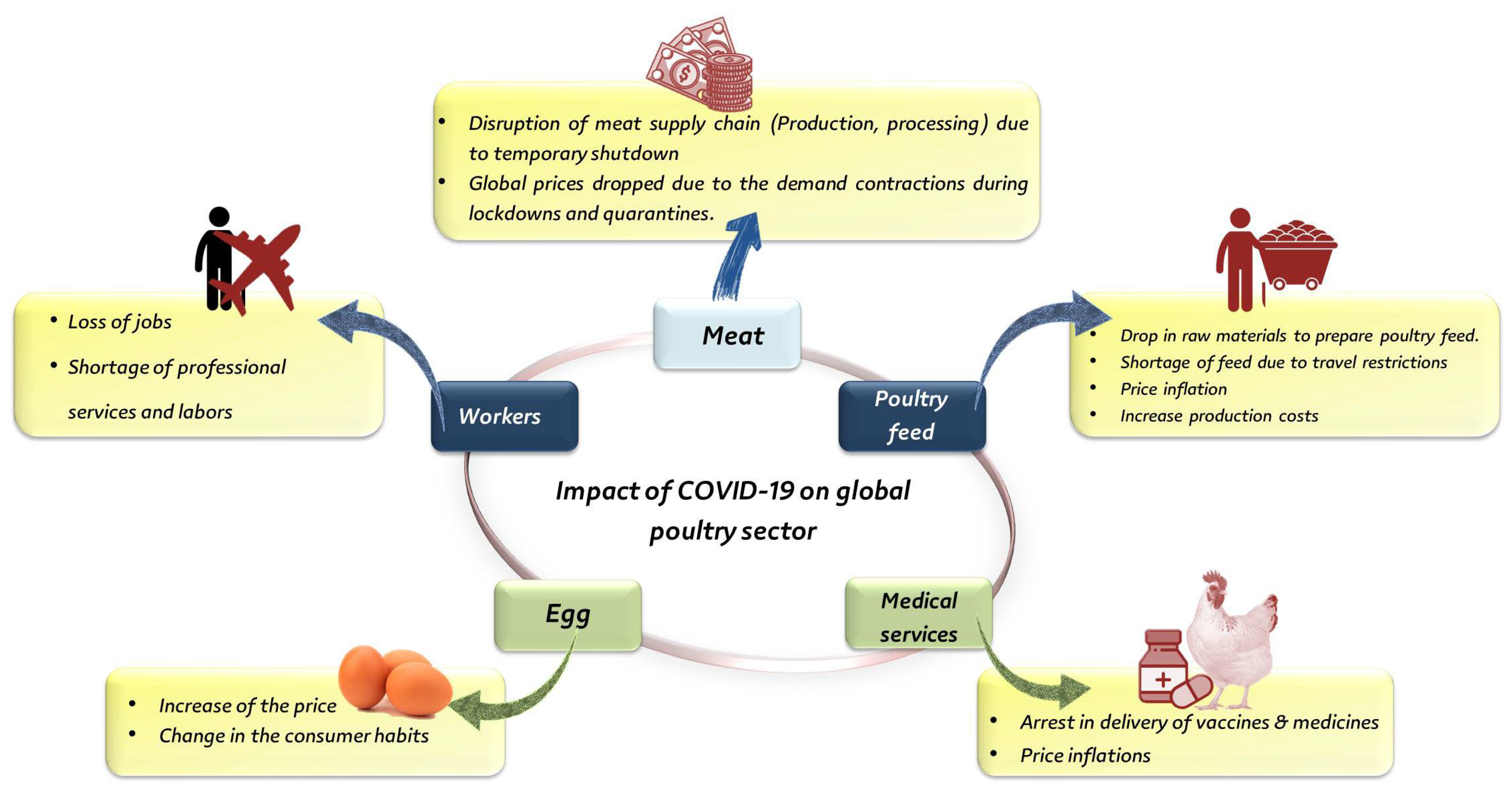 Animals | Free Full-Text | Poultry Production and Sustainability in  Developing Countries under the COVID-19 Crisis: Lessons Learned