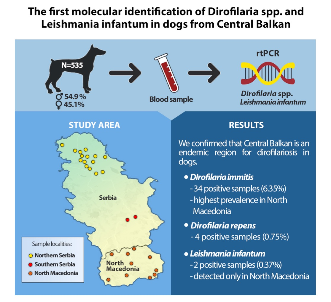 Animals | Free Full-Text | Molecular Survey of Dirofilaria and Leishmania  Species in Dogs from Central Balkan