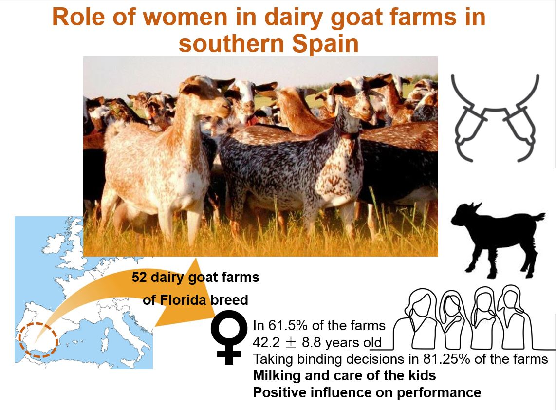 Animals | Free Full-Text | The Role of Women on Dairy Goat Farms in  Southern Spain