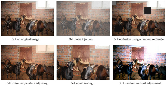 An Integrated Goat Head Detection and Automatic Counting Method Based ...