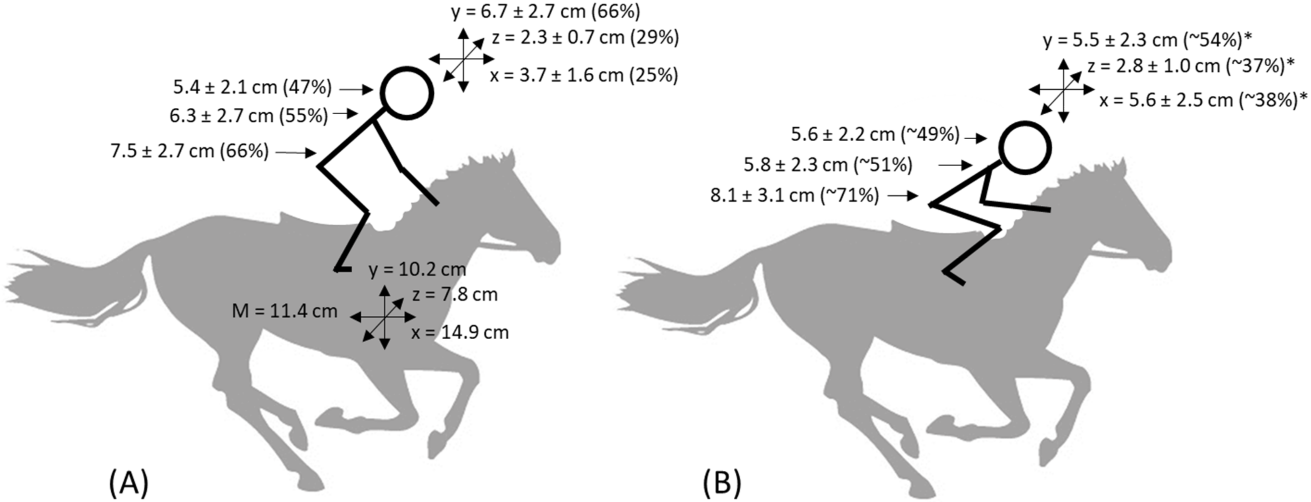 Animals | Free Full-Text | Physiological Demands and Muscle Activity of  Jockeys in Trial and Race Riding