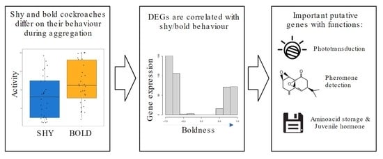 Animals | Free Full-Text | Differential Gene Expression Correlates with  Behavioural Polymorphism during Collective Behaviour in Cockroaches