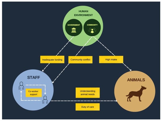 Animals | Free Full-Text | Interviews with Indian Animal Shelter Staff:  Similarities and Differences in Challenges and Resiliency Factors Compared  to Western Counterparts